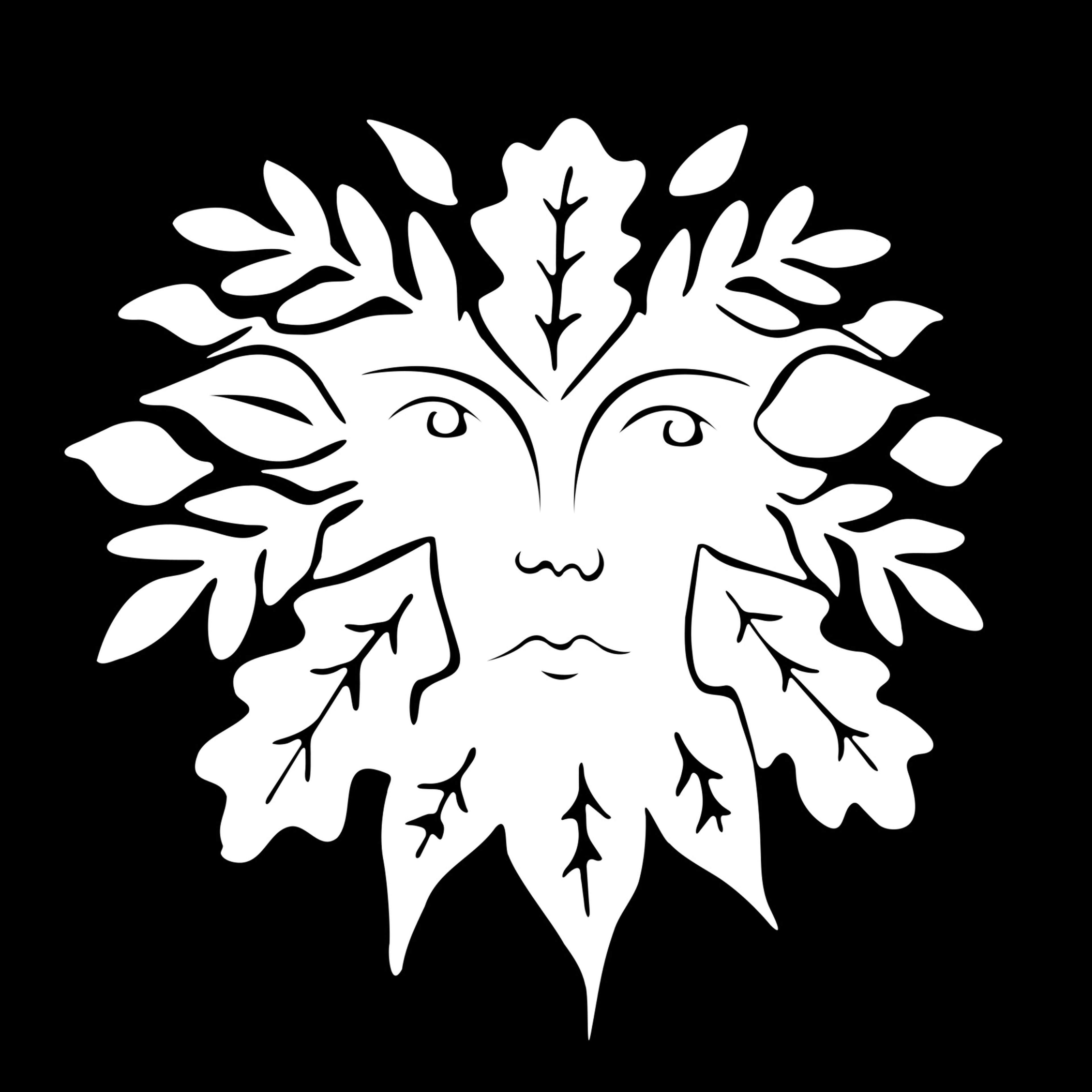 IGOR PEREIRA GONCALVES imagem