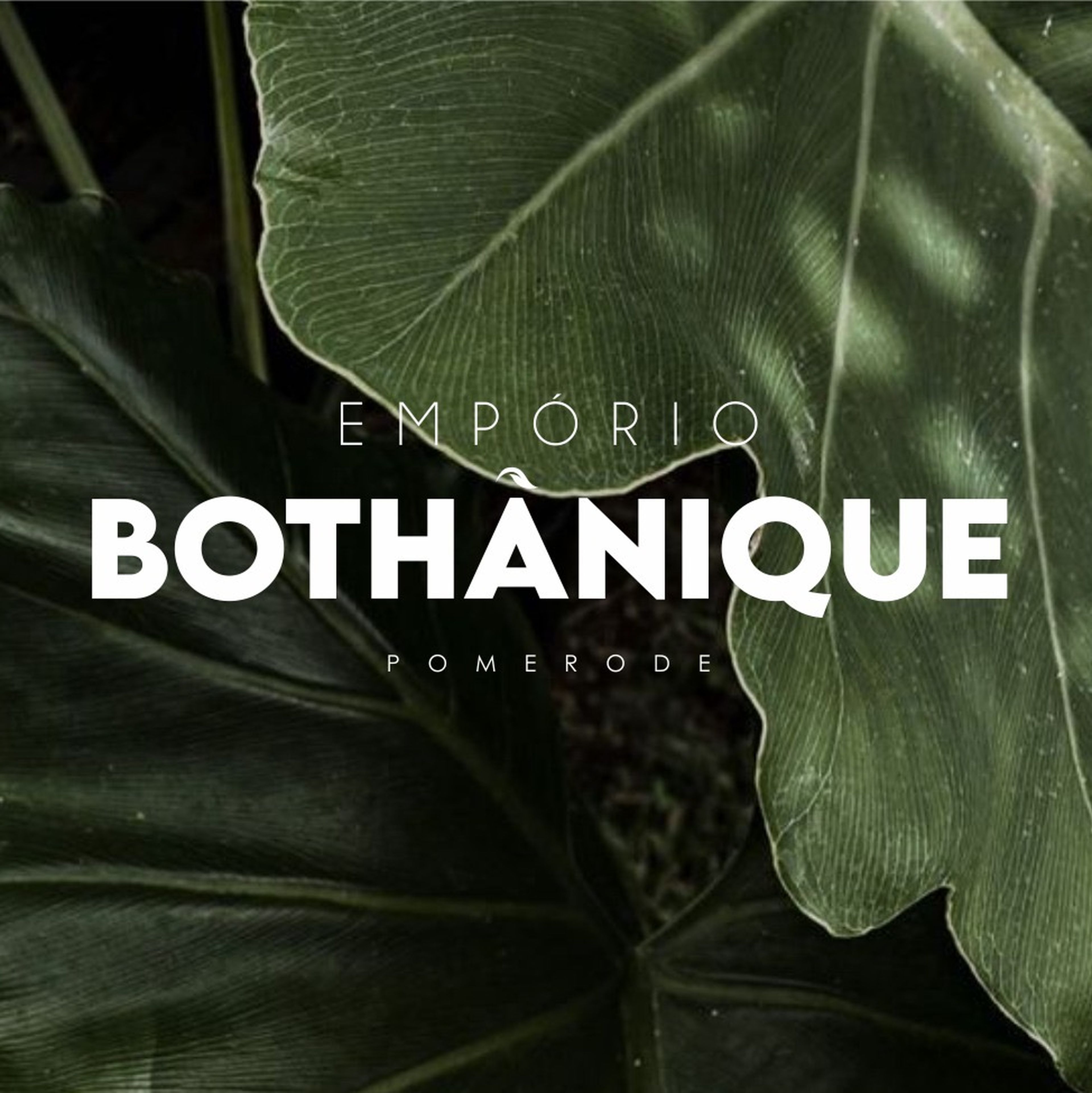 EMPORIO BOTHANIQUE imagem