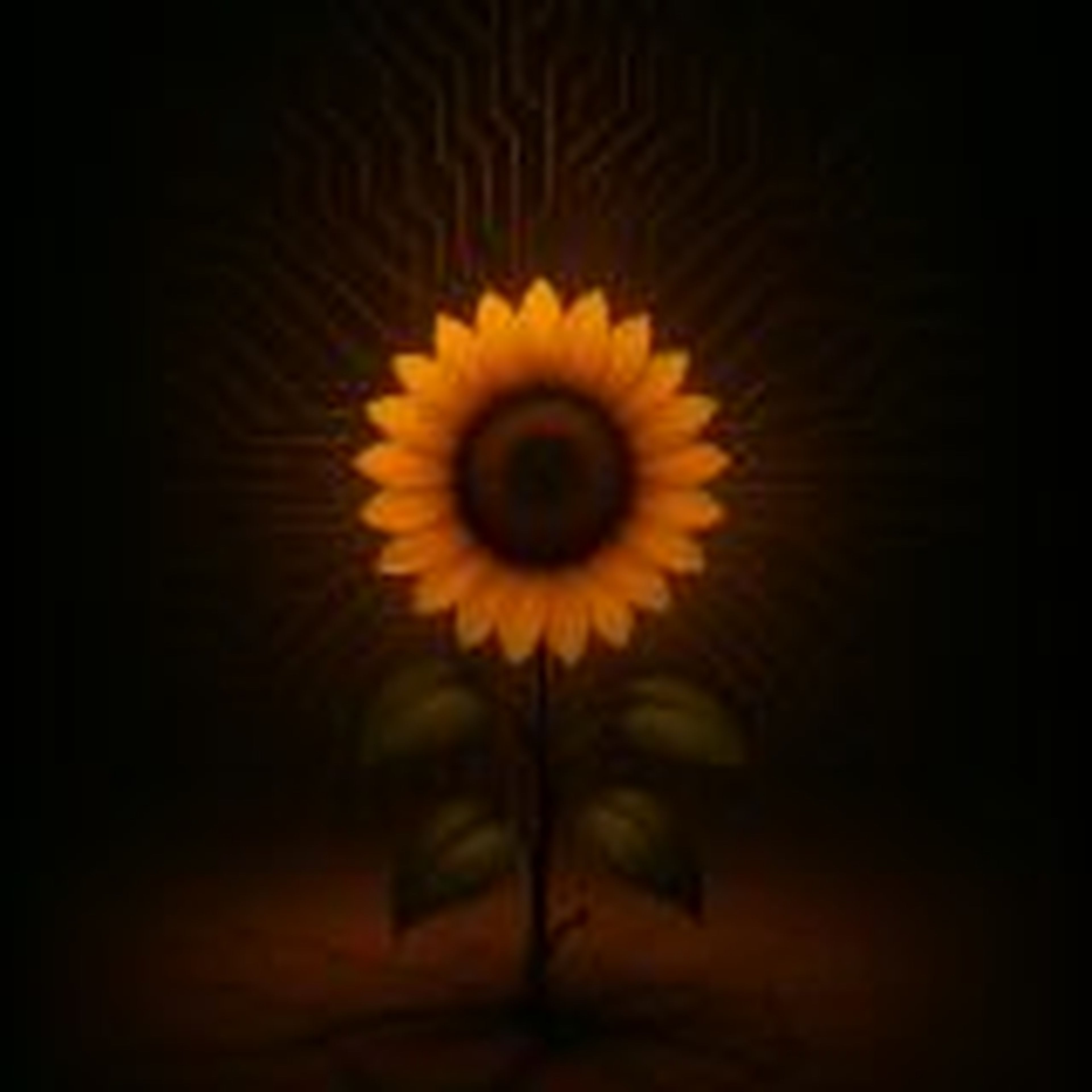 NILSON DA SILVA MEDEIROS imagem