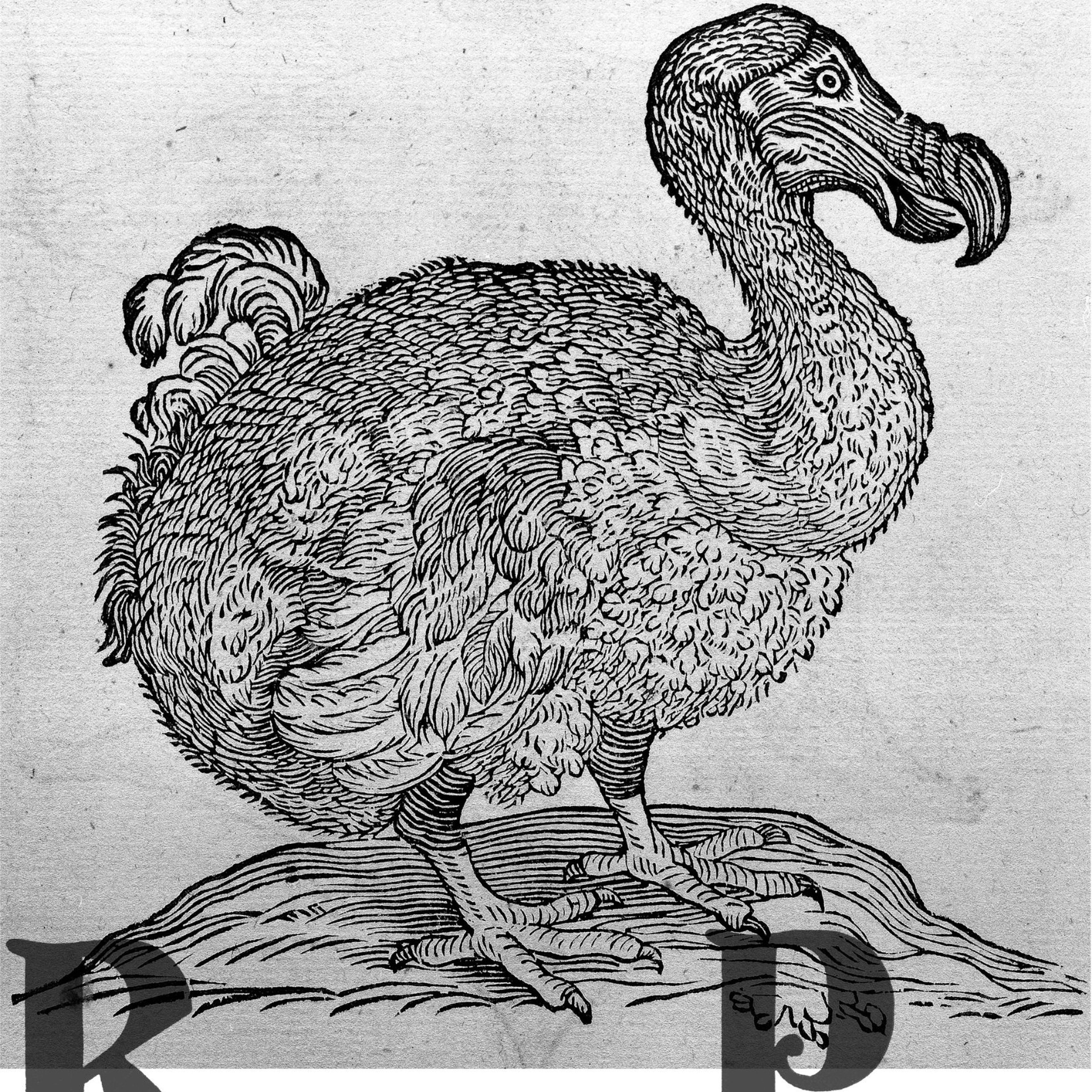 ALCEBIADES DINIZ MIGUEL imagem