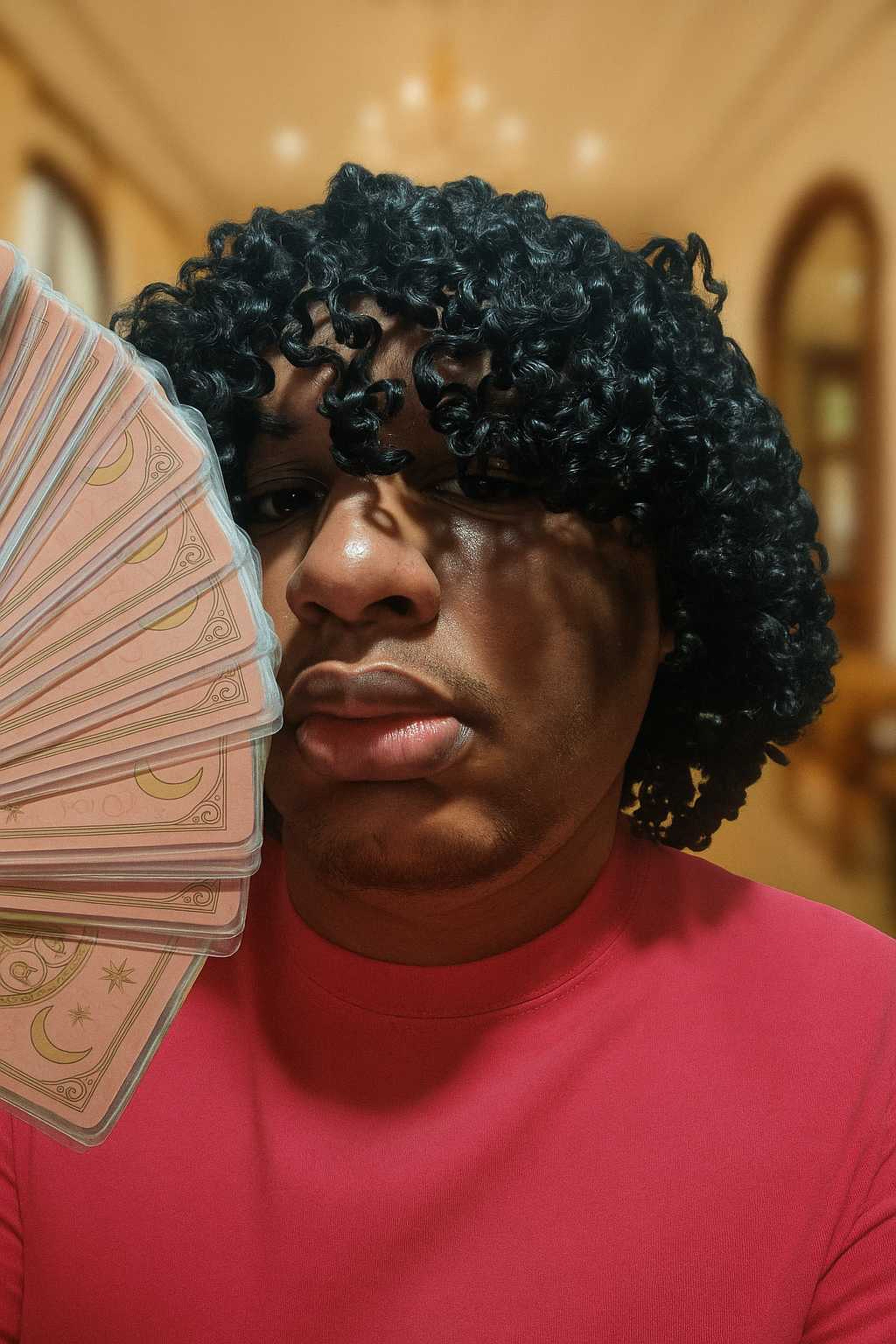 SONIA MARIA DOS SANTOS VIEIRA PEREIRA imagem