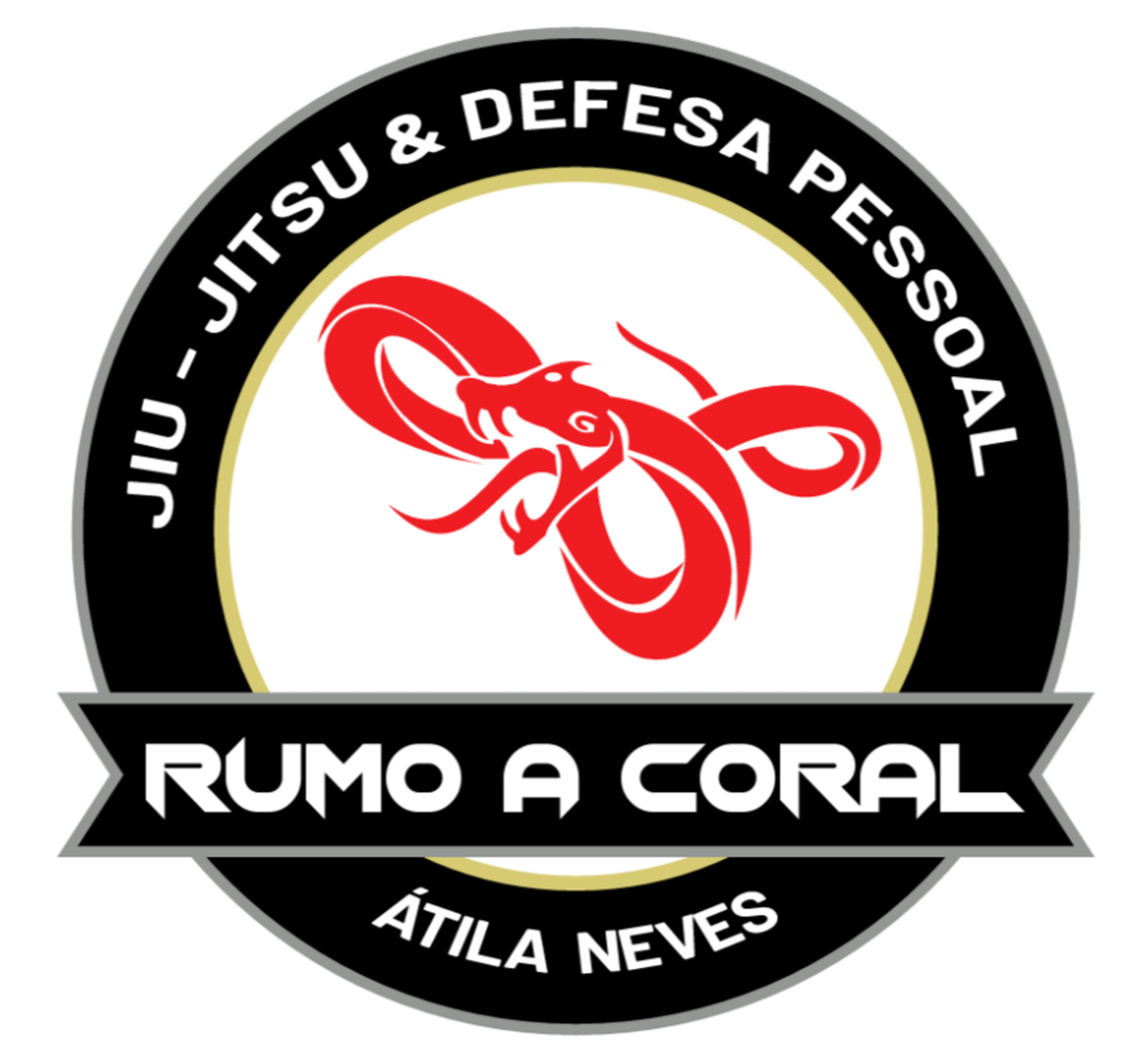 ATILA VINICIUS GARCIA NEVES imagem