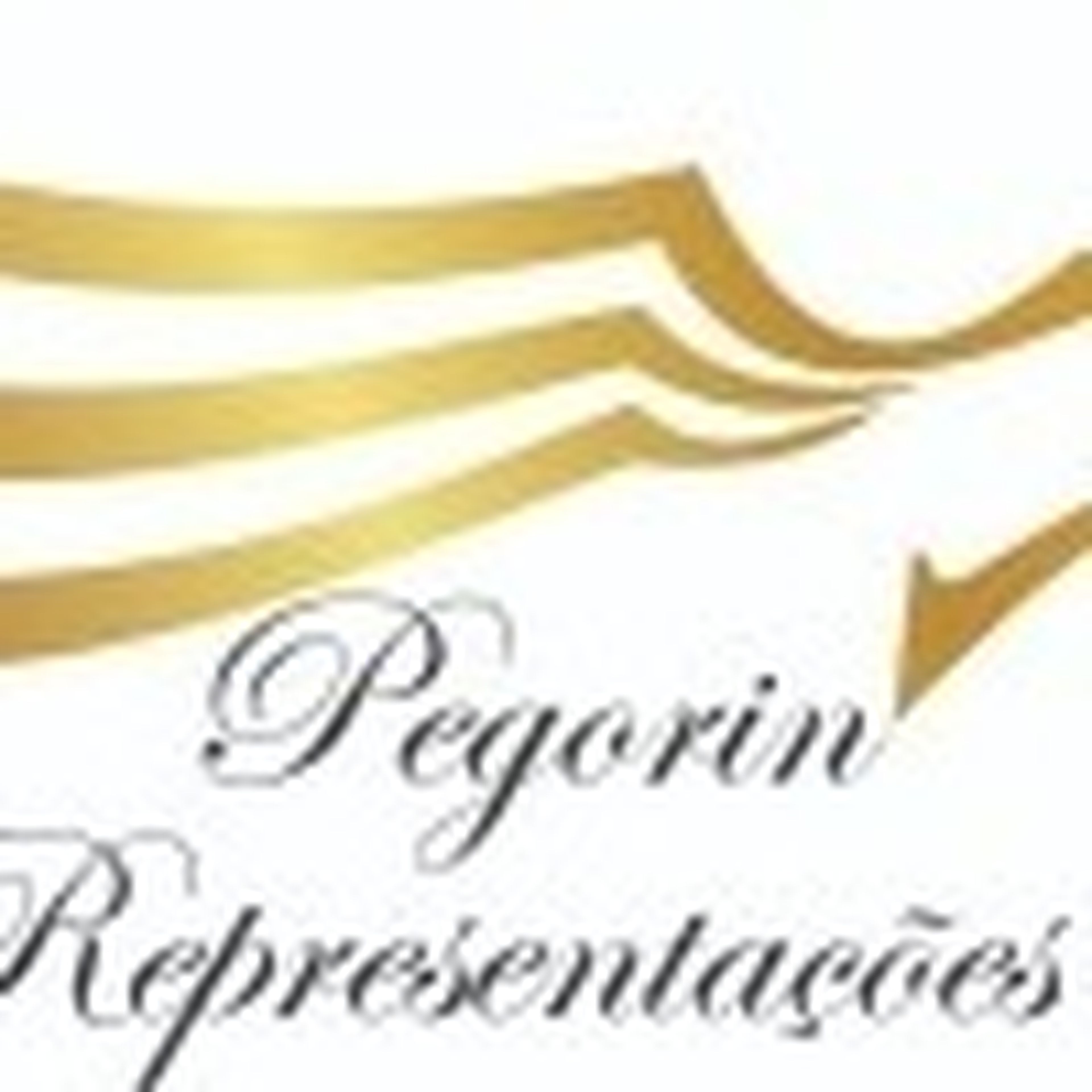 CLAUDEMIR PEGORIN imagem