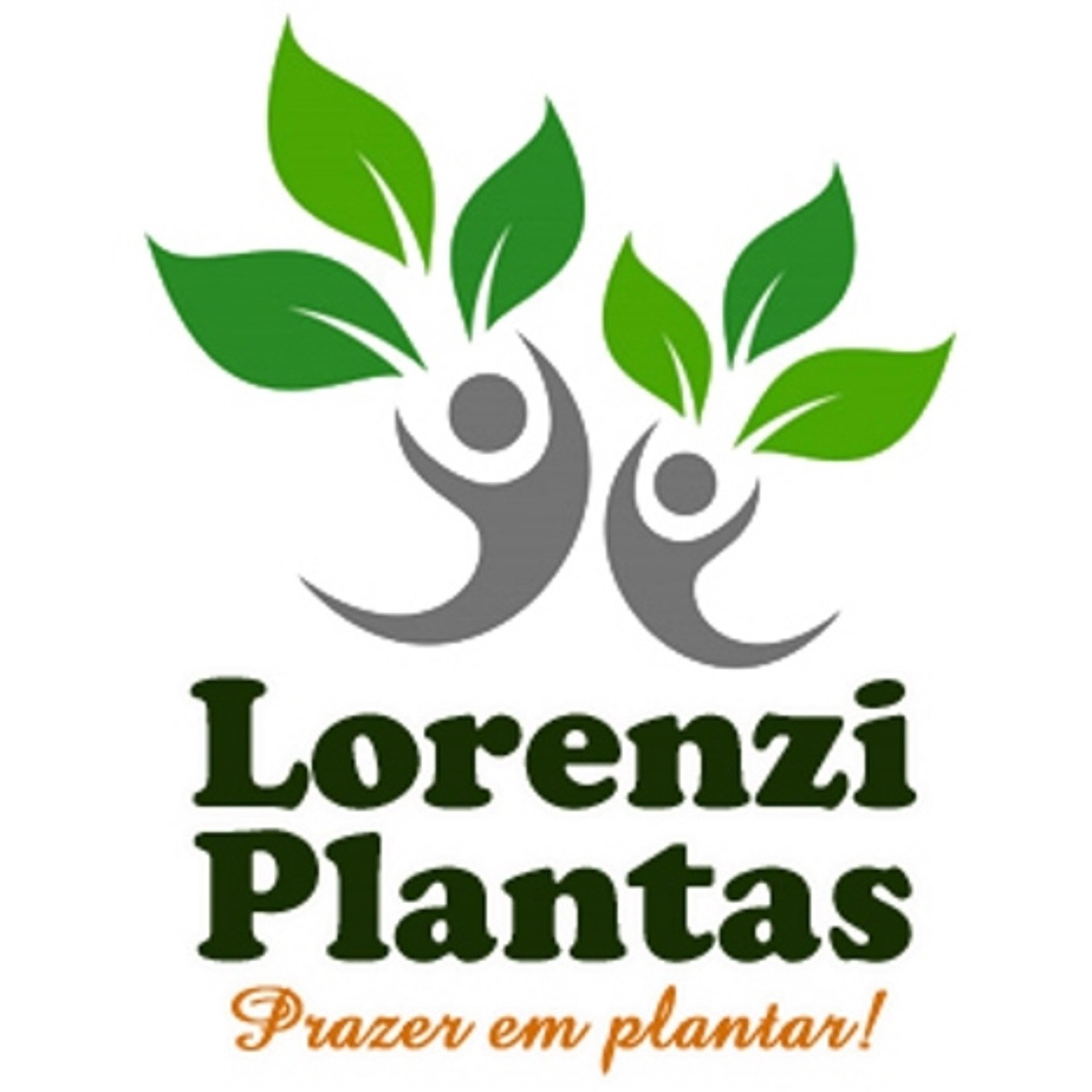 Edimar Fernando Lorenzi imagem