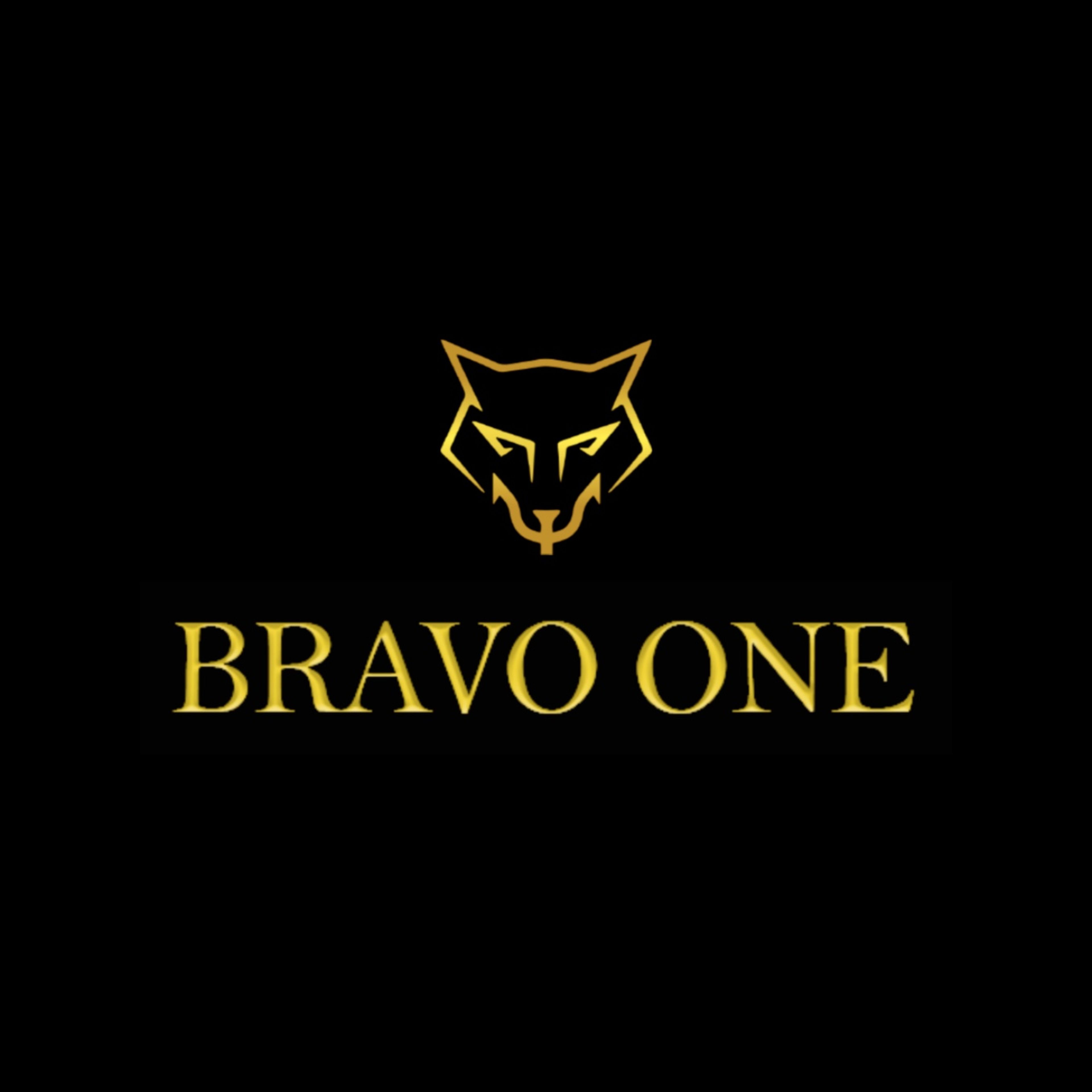 BRAVO ONE COMERCIO DE ARMAS LTDA imagem