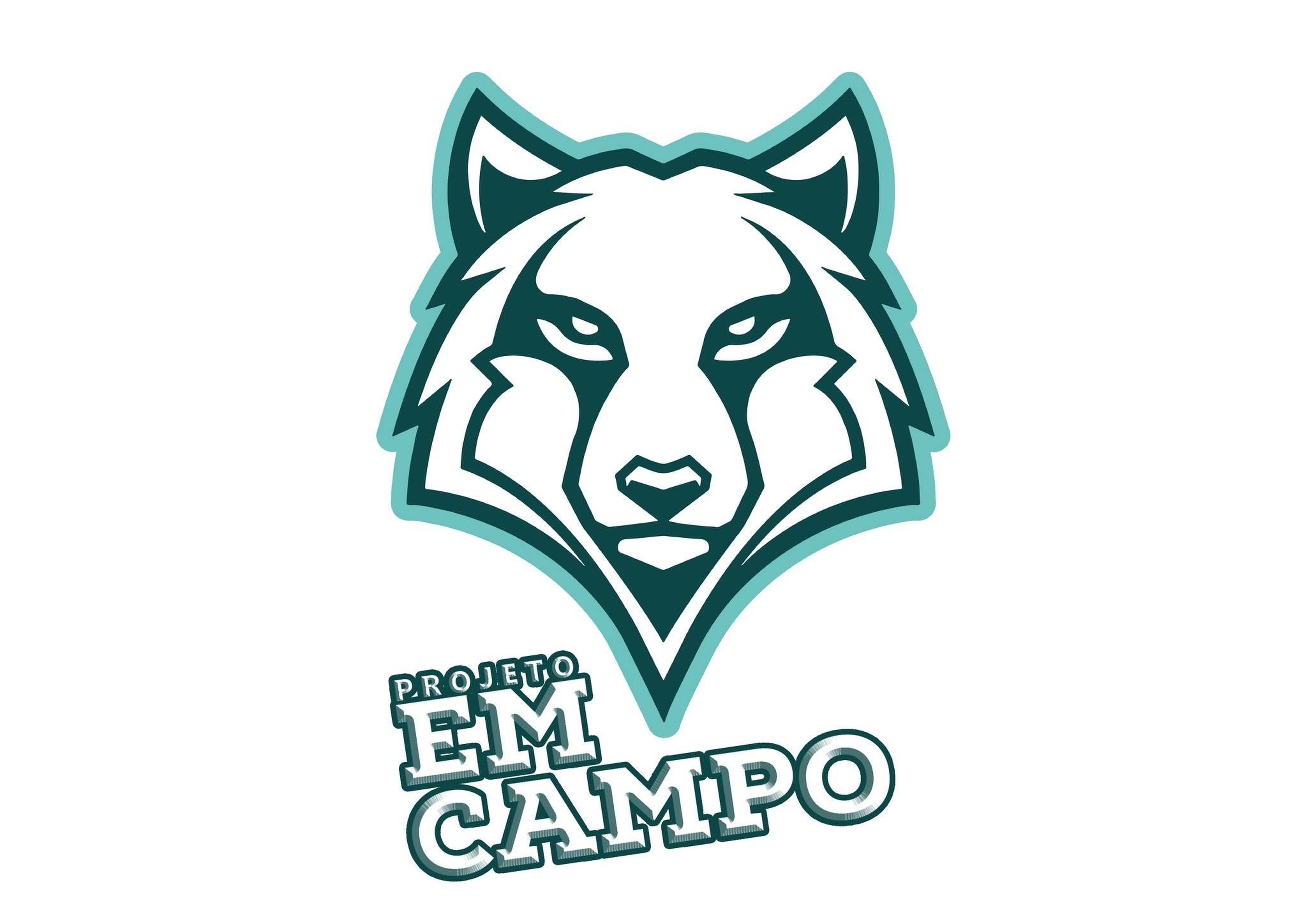 ASSOCIACAO ESPORTIVA PROJETO EM CAMPO imagem