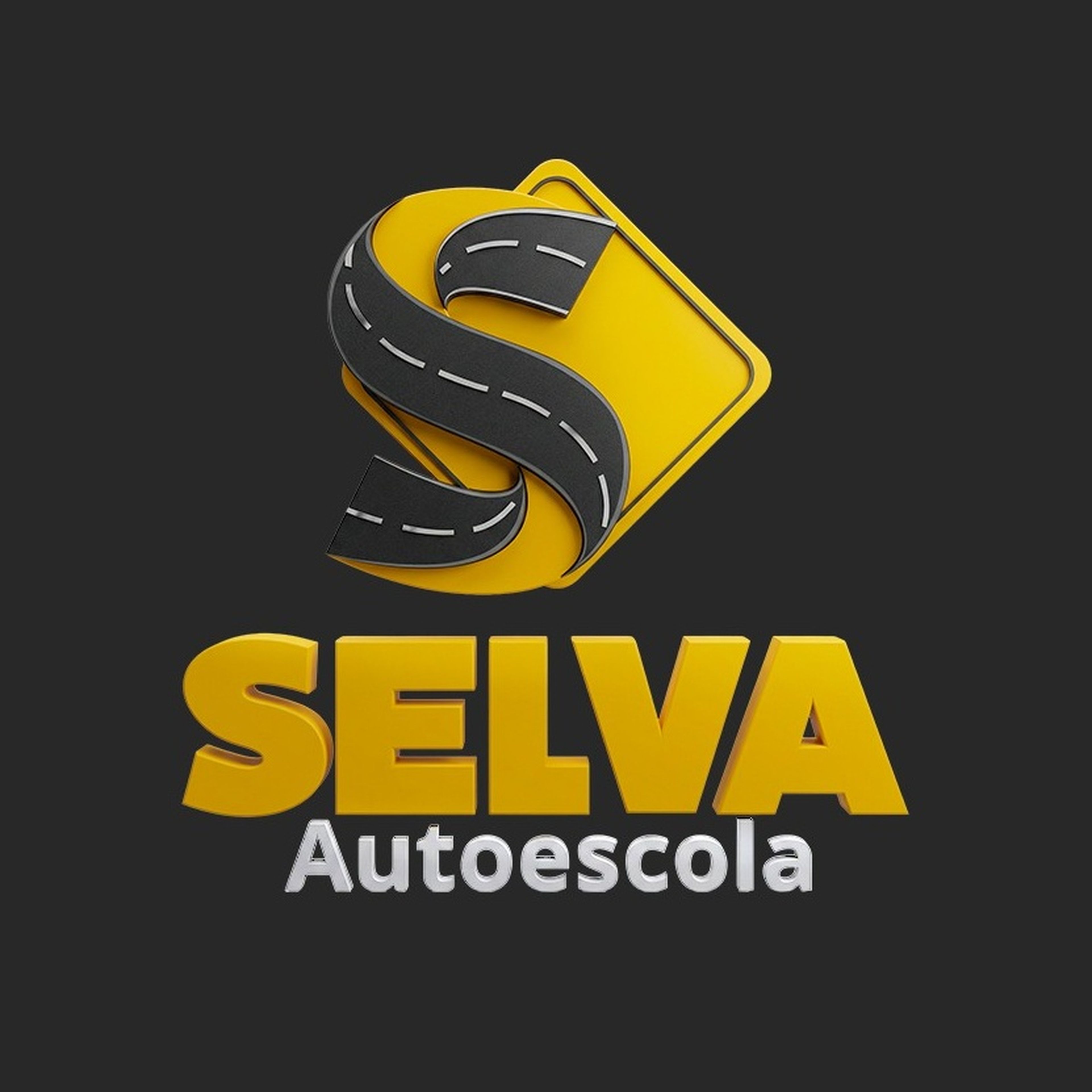 AUTO ESCOLA SELVA imagem