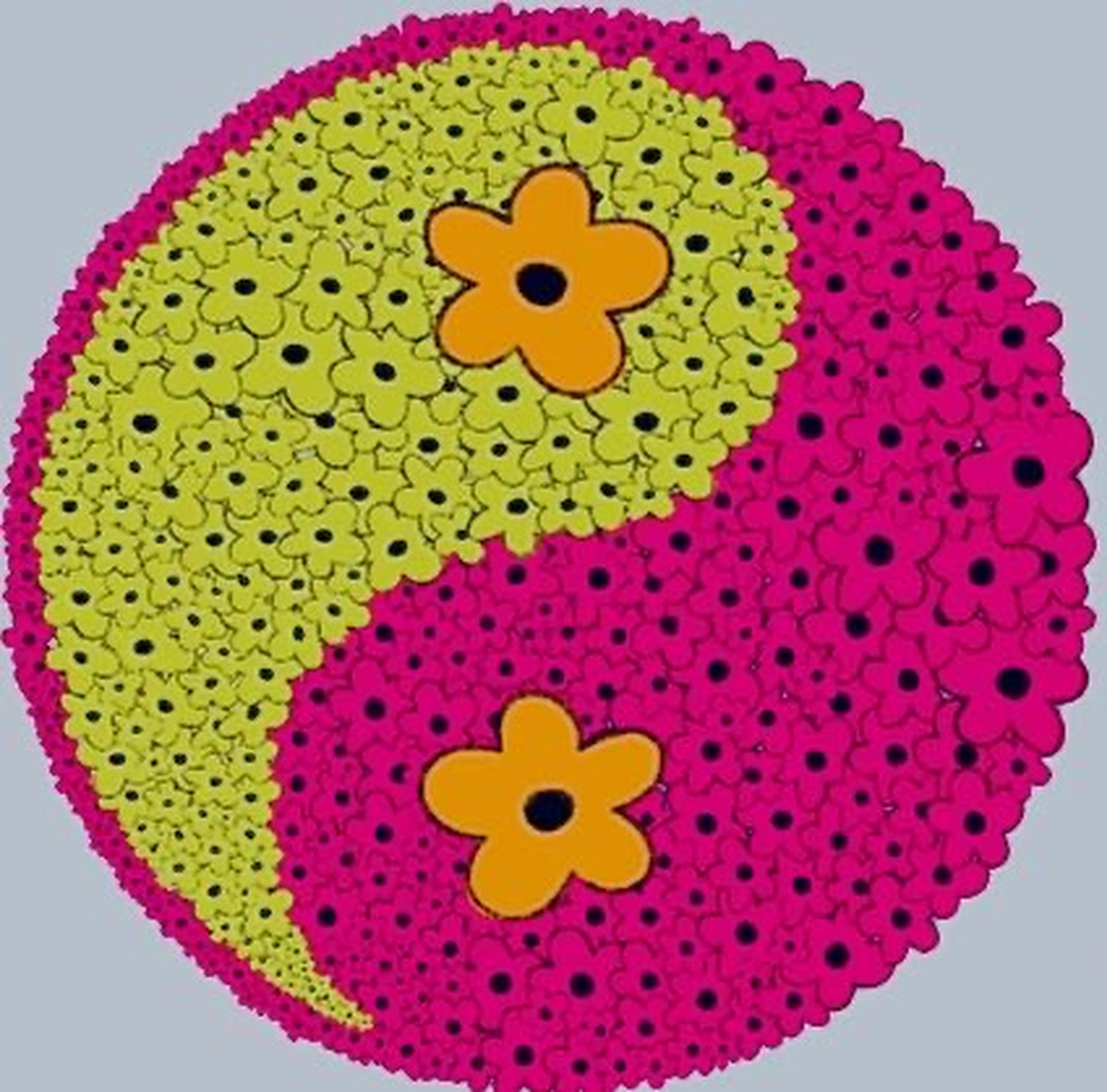 LORENA CARDOSO ARRUDA NUNES imagem