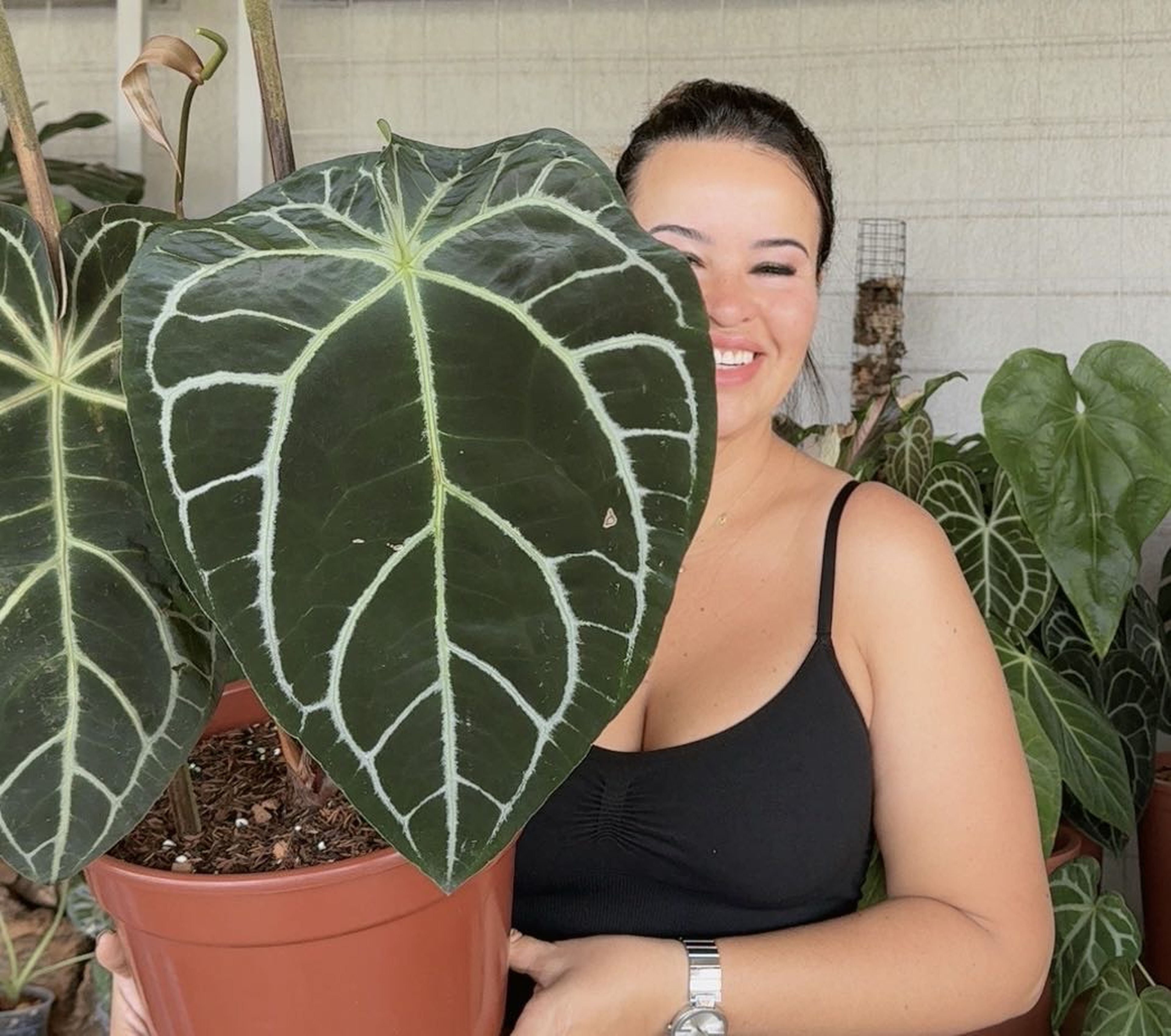 POLLYANNA SOUZA LOPES VOCURCA imagem