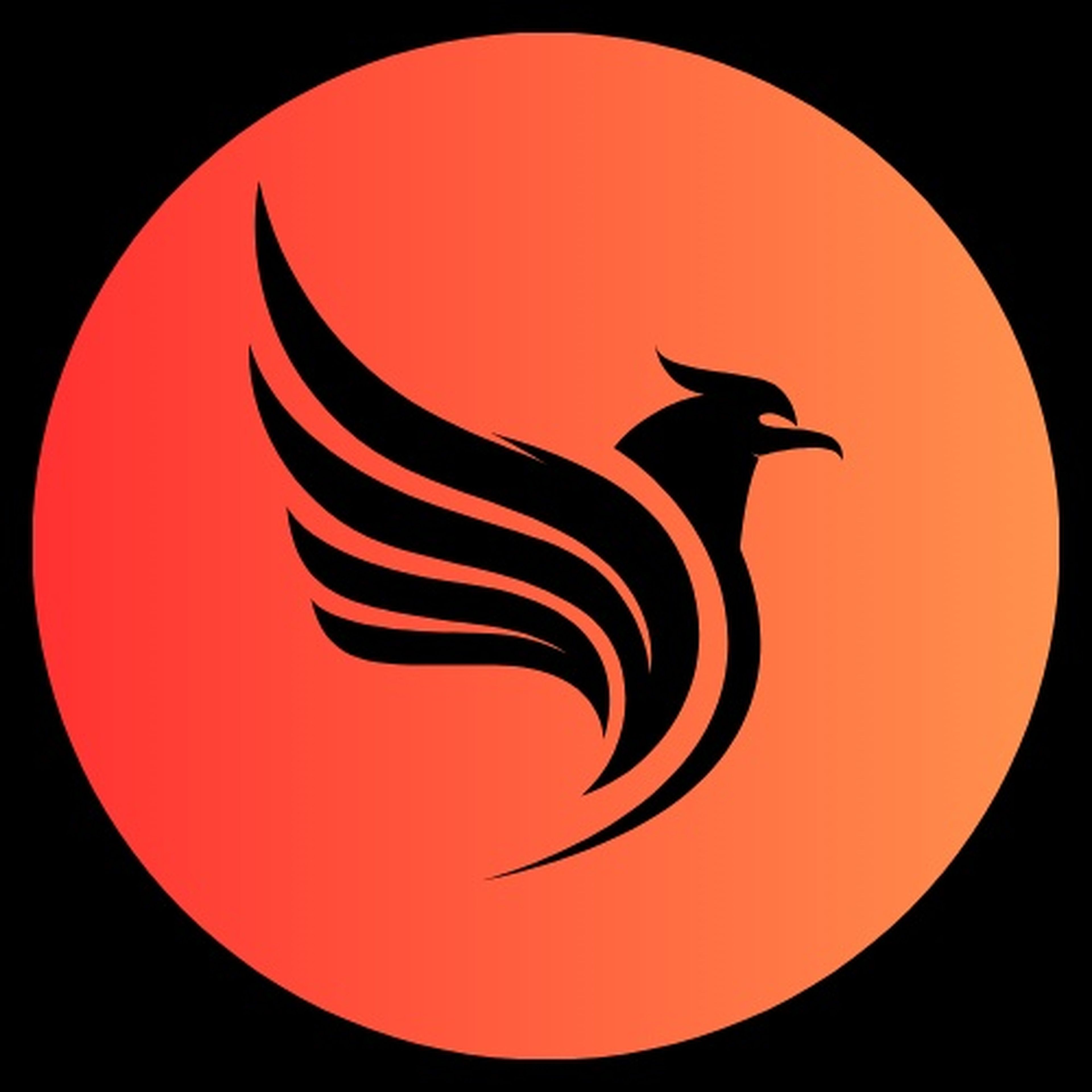 VANDERLEI ALEXANDRE GASPARINI imagem