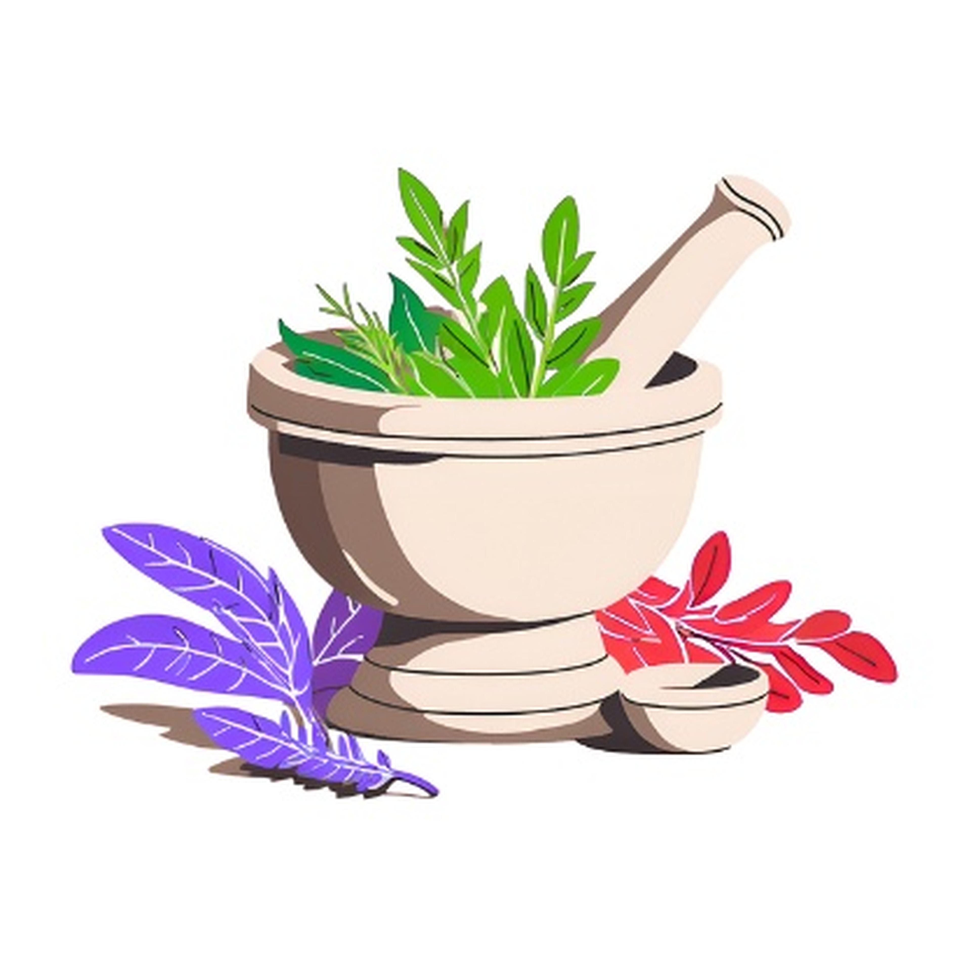 PEDRO LICAS DE OLIVEIRA imagem