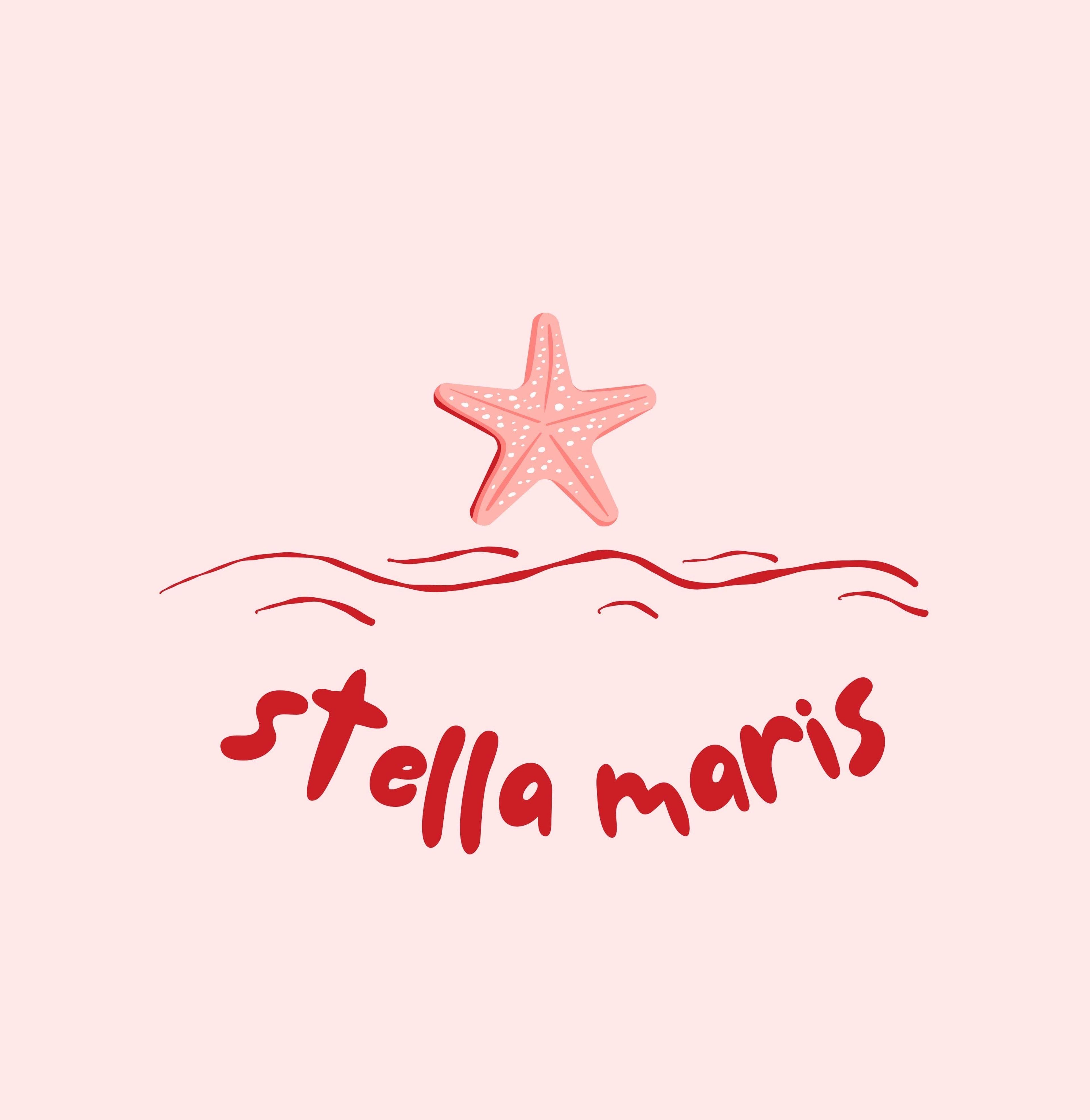 MARIA EDUARDA DA SILVA TEIXEIRA imagem