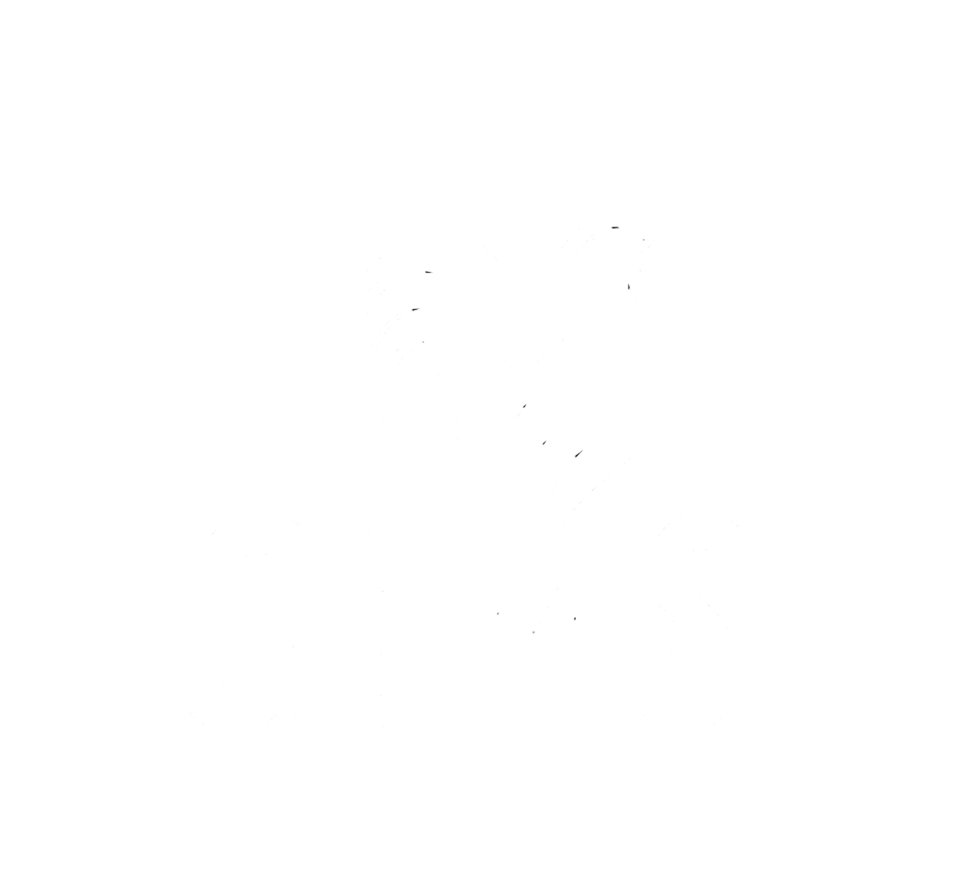 CAMS imagem