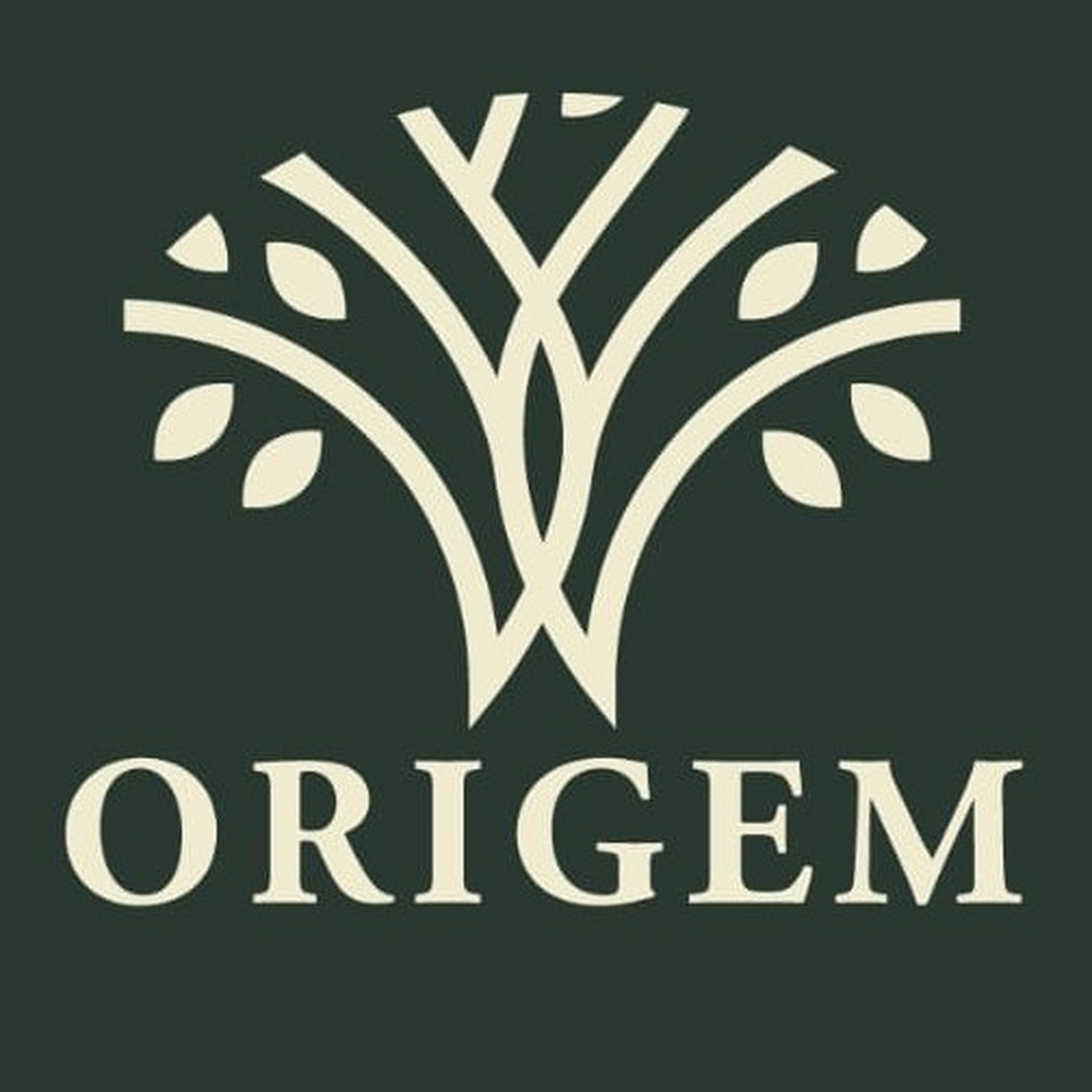 MAXIMIZE EVENTOS imagem