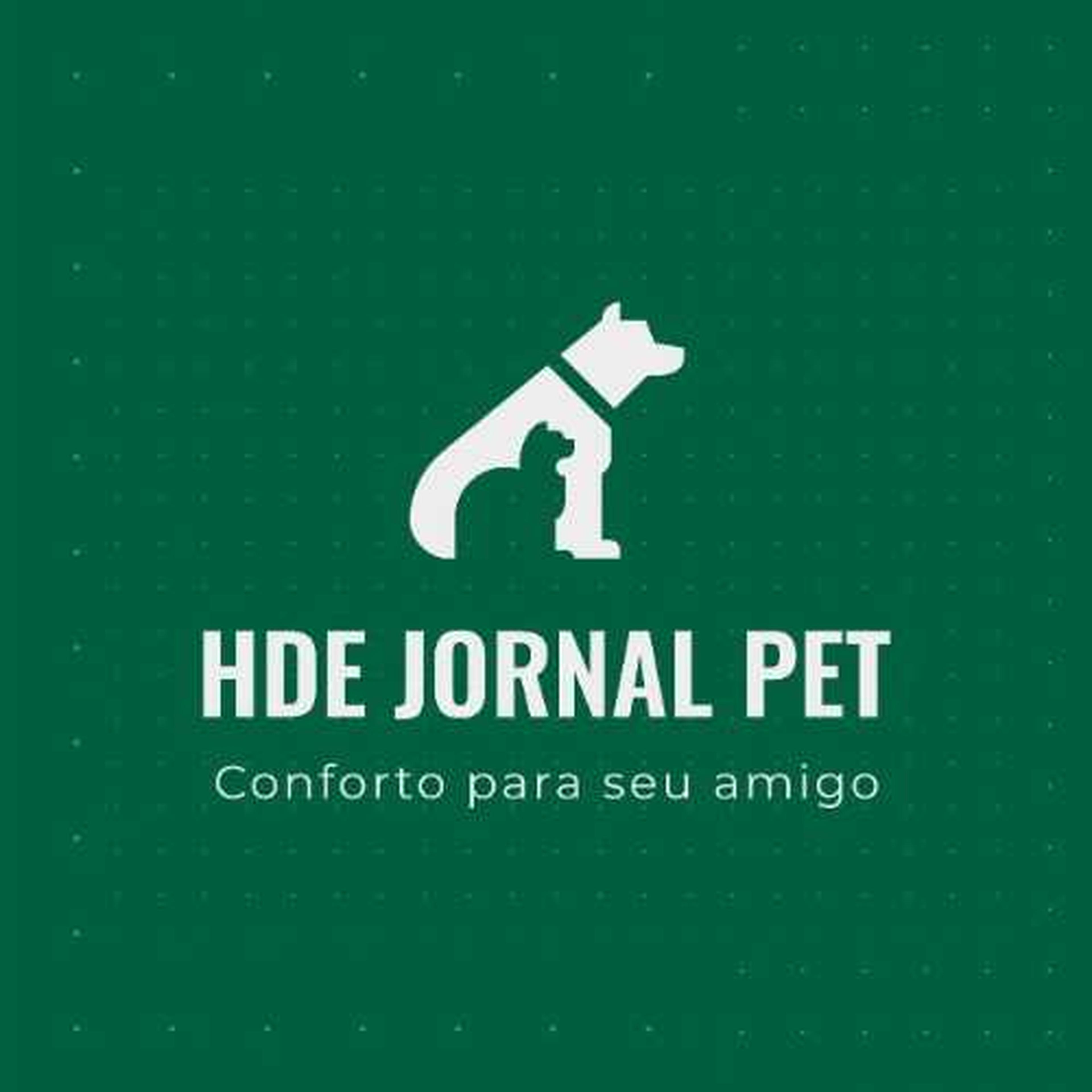 HELDER PINTO CORREA imagem