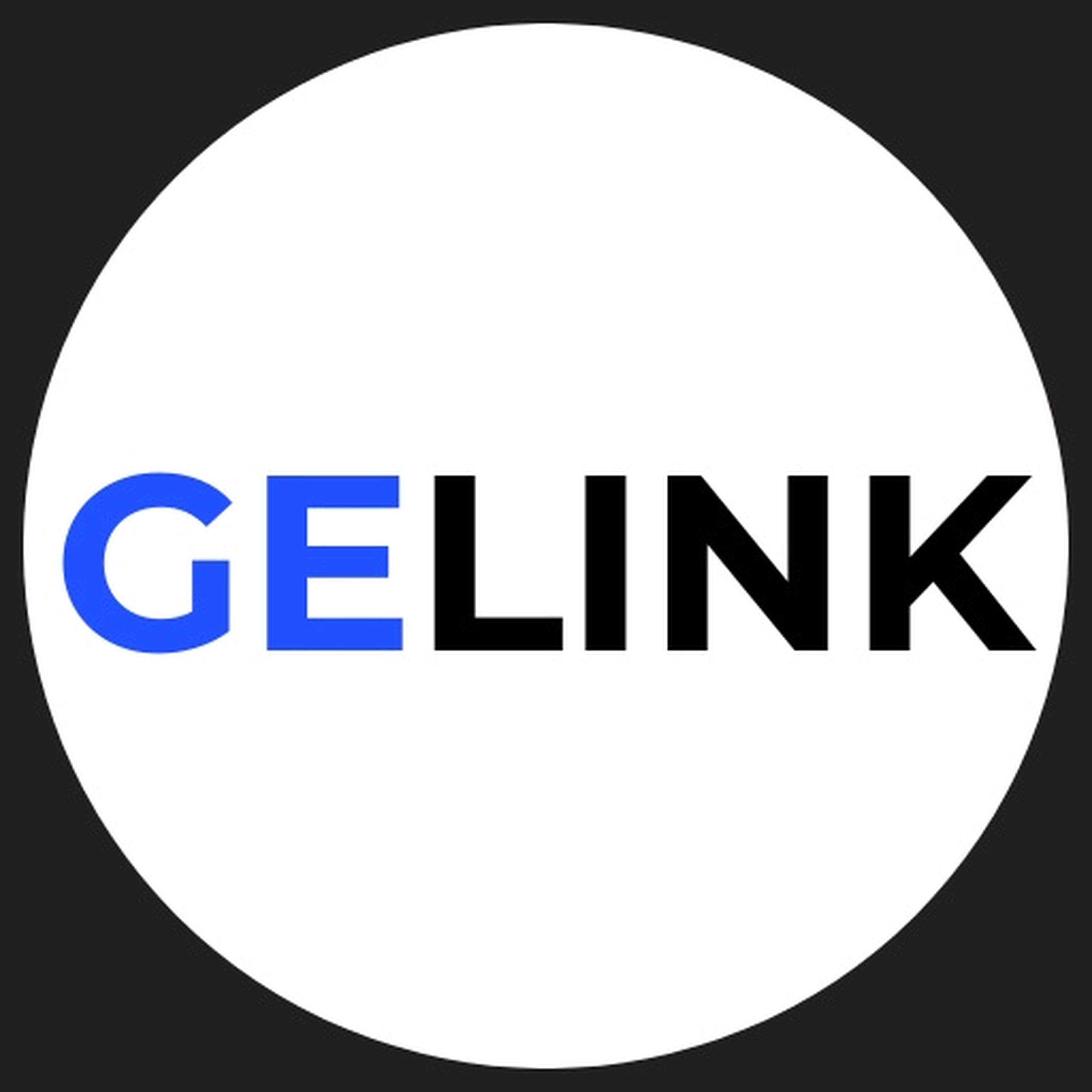GELINK RASTREAMENTO E SEGUROS imagem