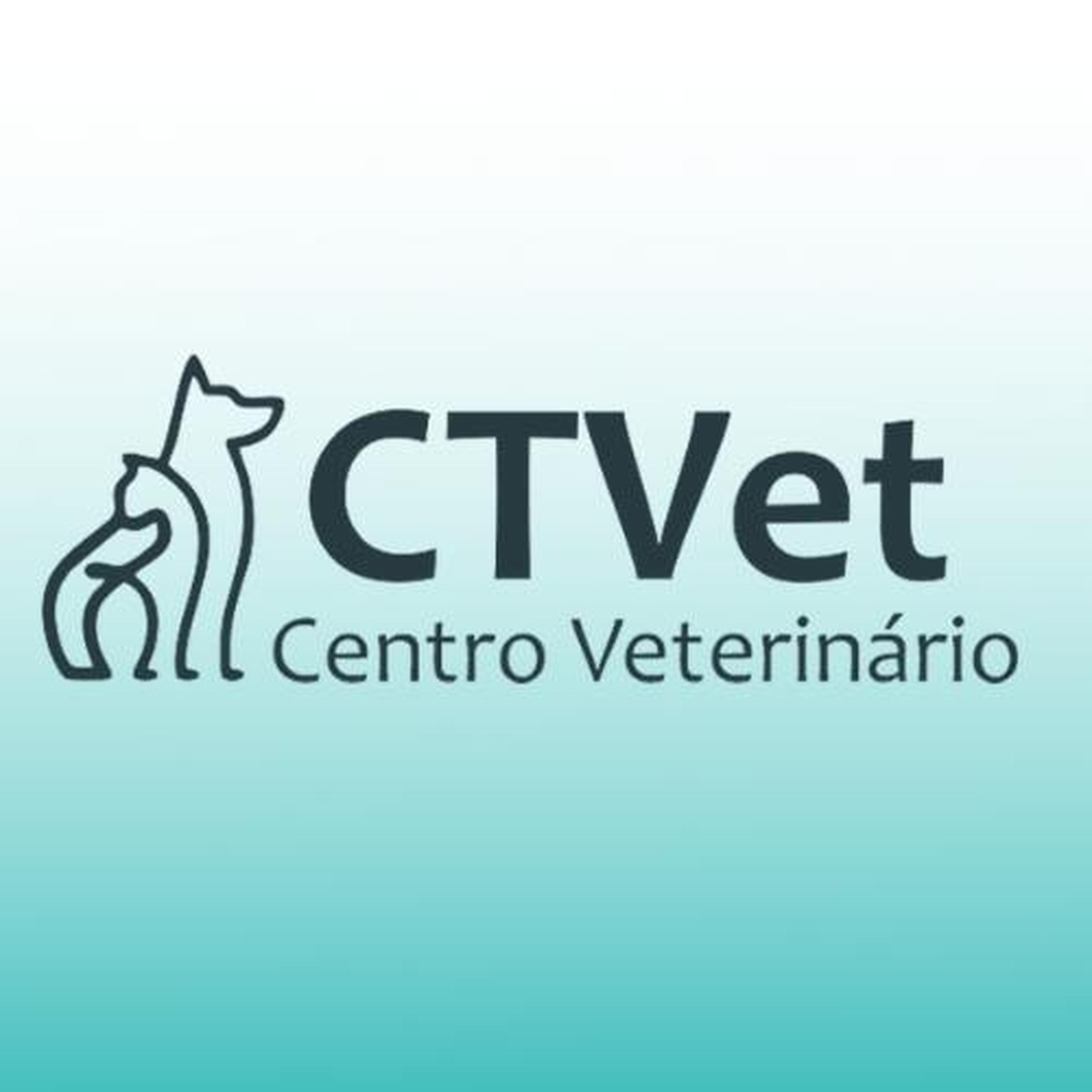 DEBORA CAVALCANTE COZINI LOPES imagem