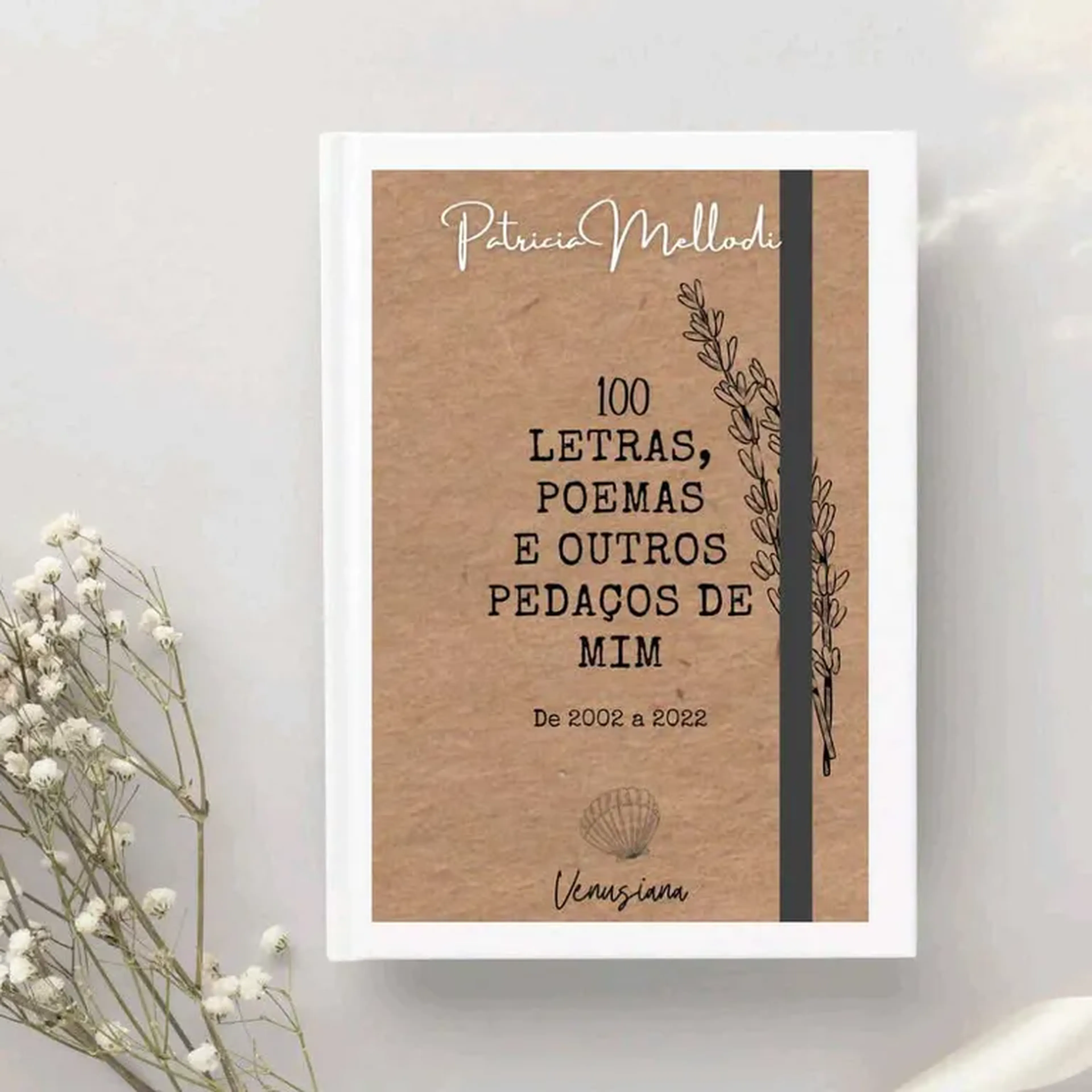 100 letras, poemas e outros pedaços de mim. imagem