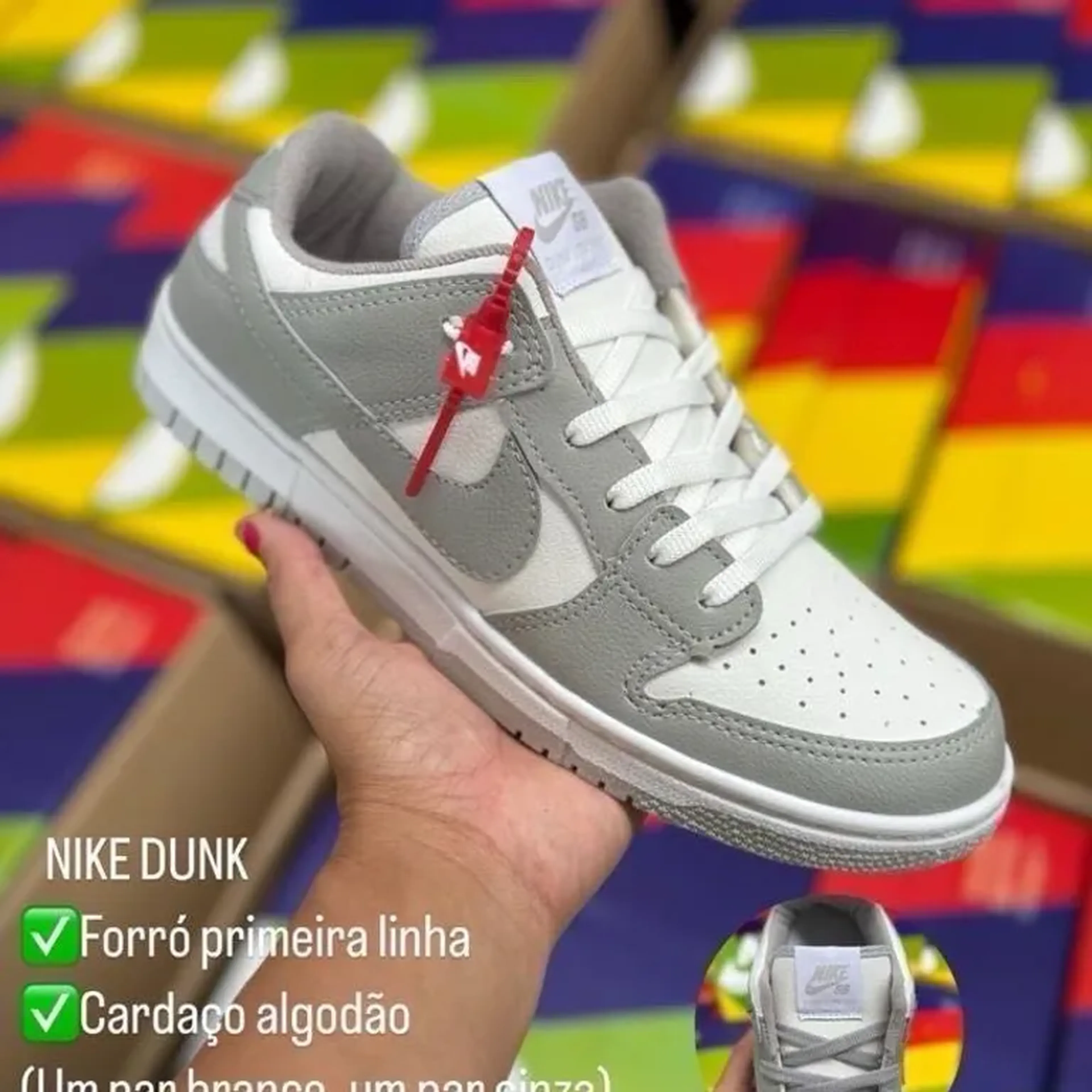 Dunk Cinza imagem