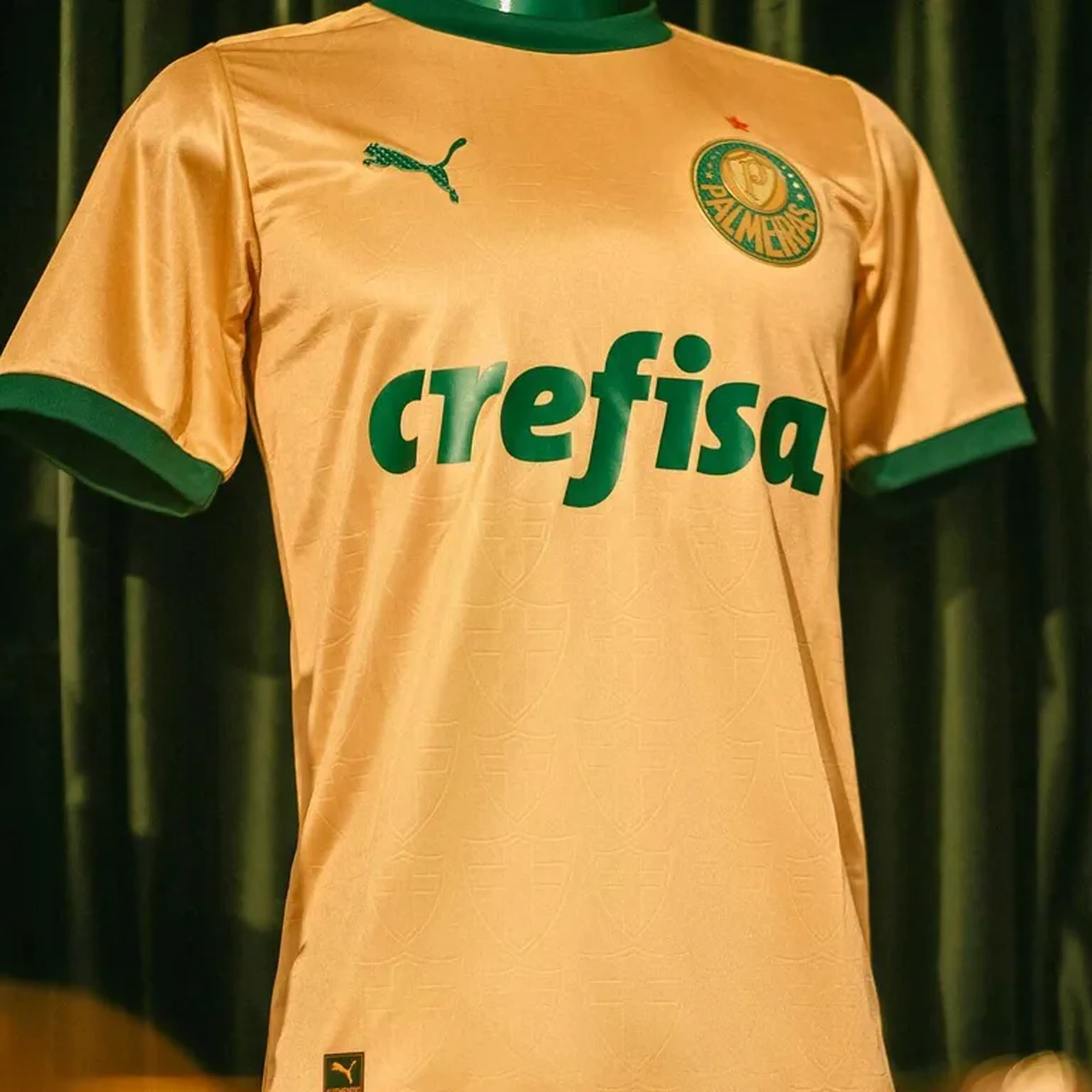 Palmeiras Jogador - 2024 - Camisa III imagem