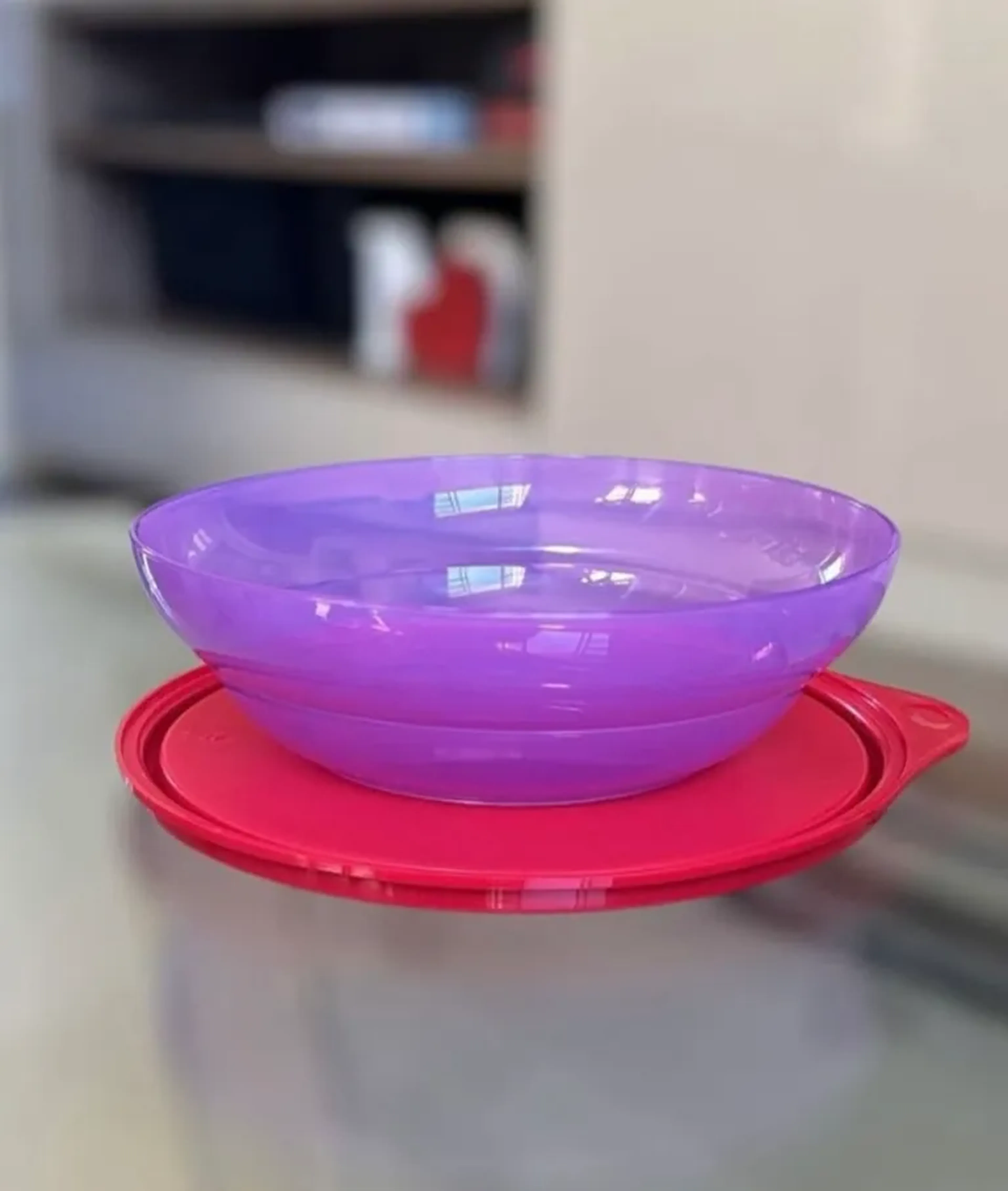 Tupper Pragela 450ml imagem
