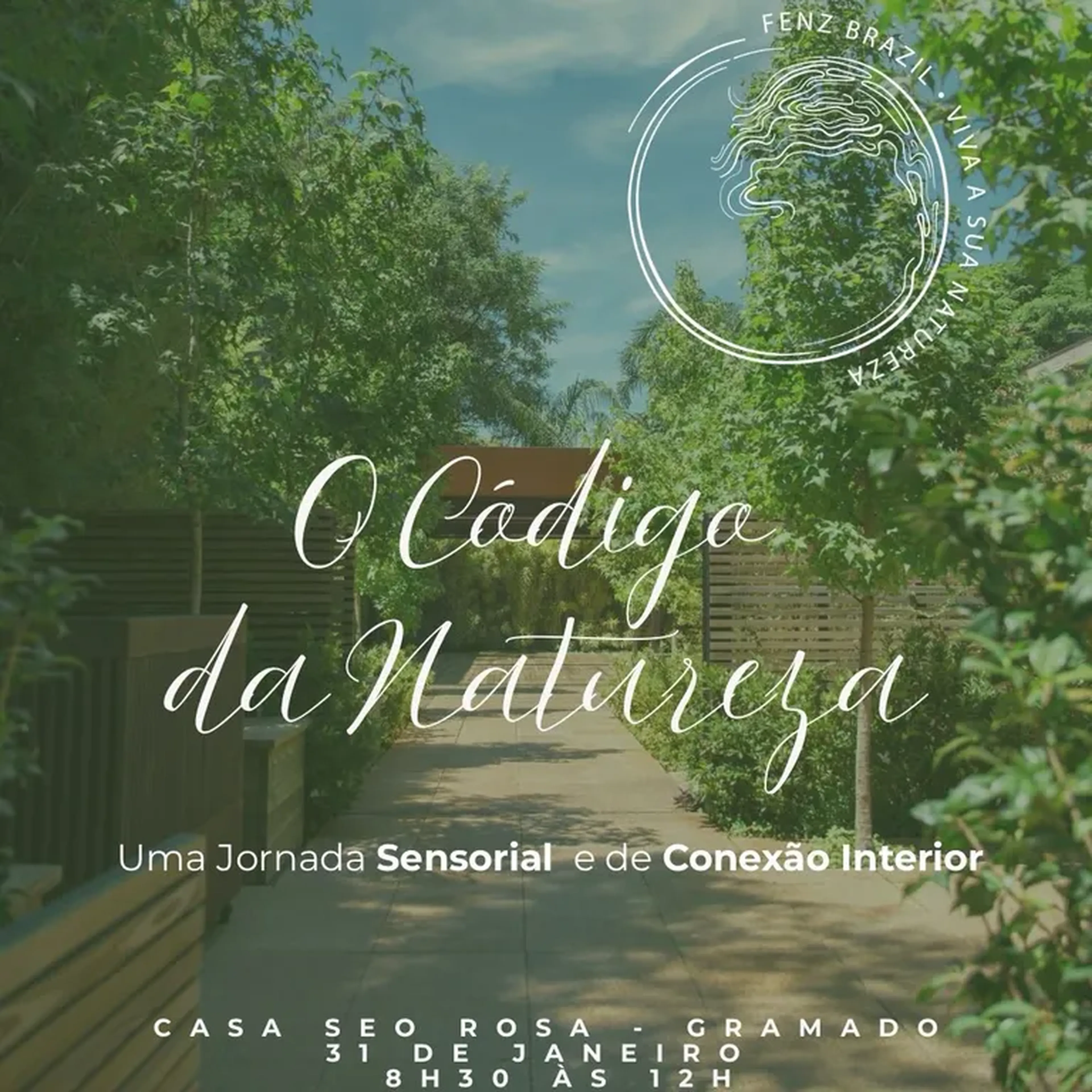 O Código da Natureza: Uma Jornada Sensorial e Conexão Interior imagem