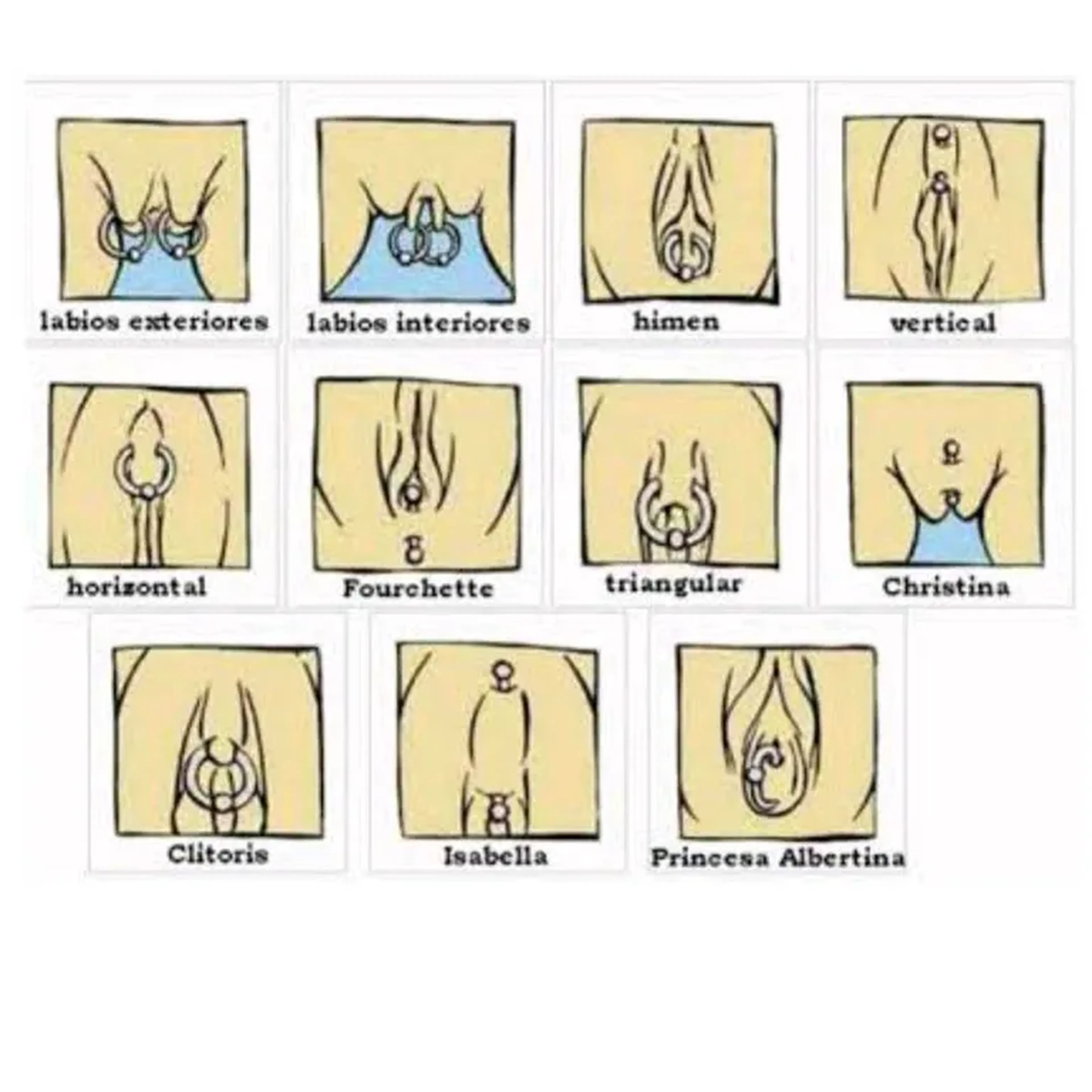 Piercing genital joia com pedra + aplicação imagem