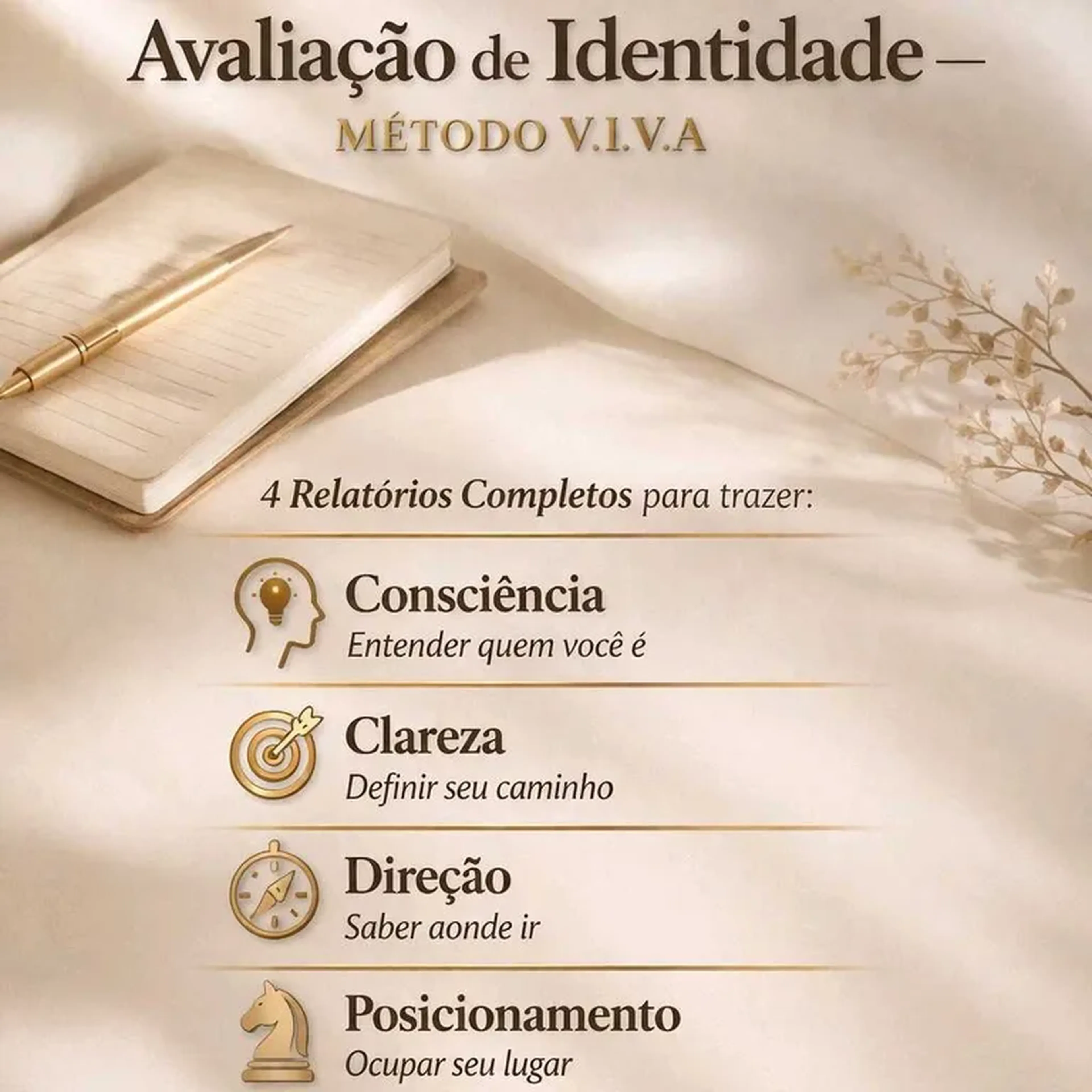 Avaliação de Identidade V.I.V.A imagem