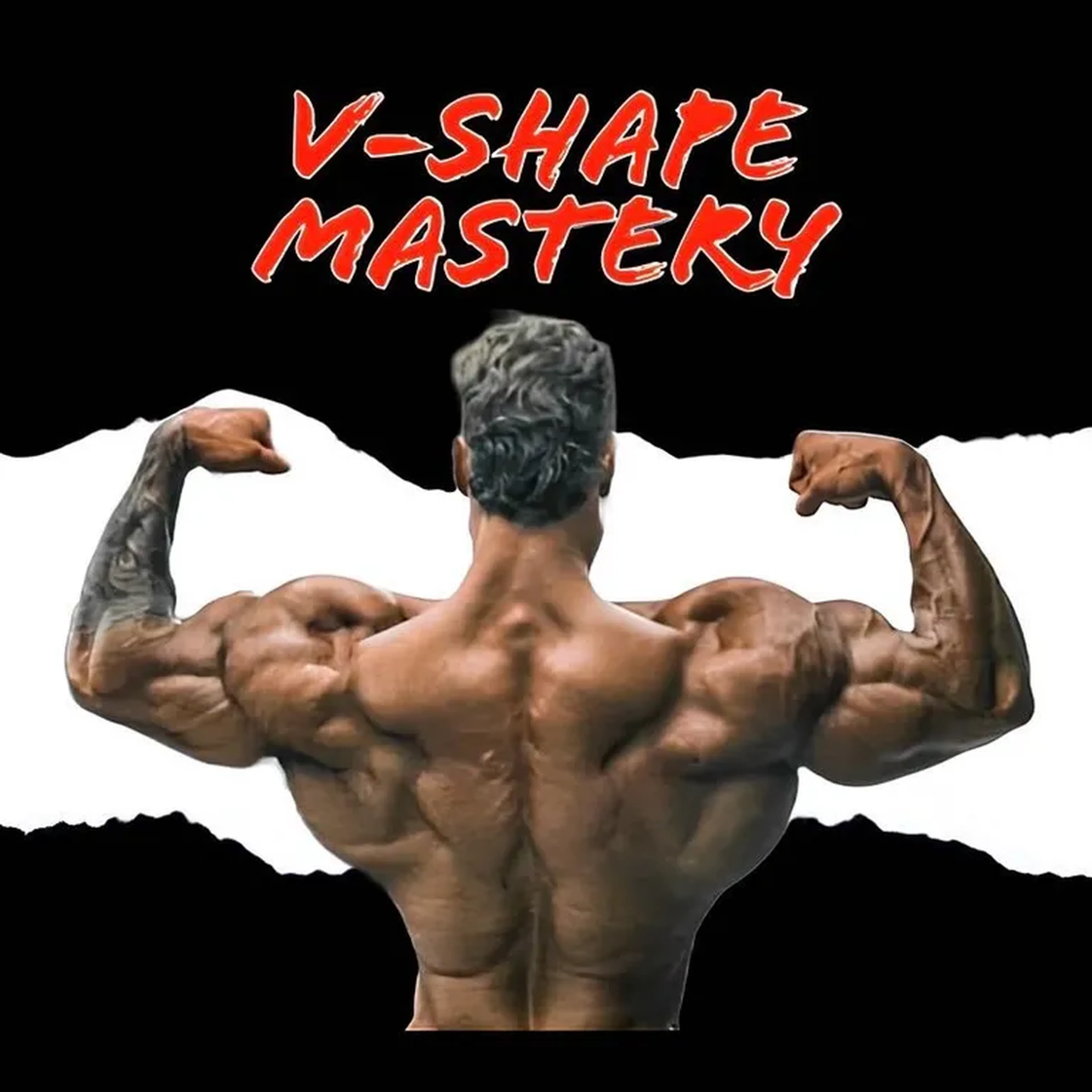 V-Shape mastery imagem