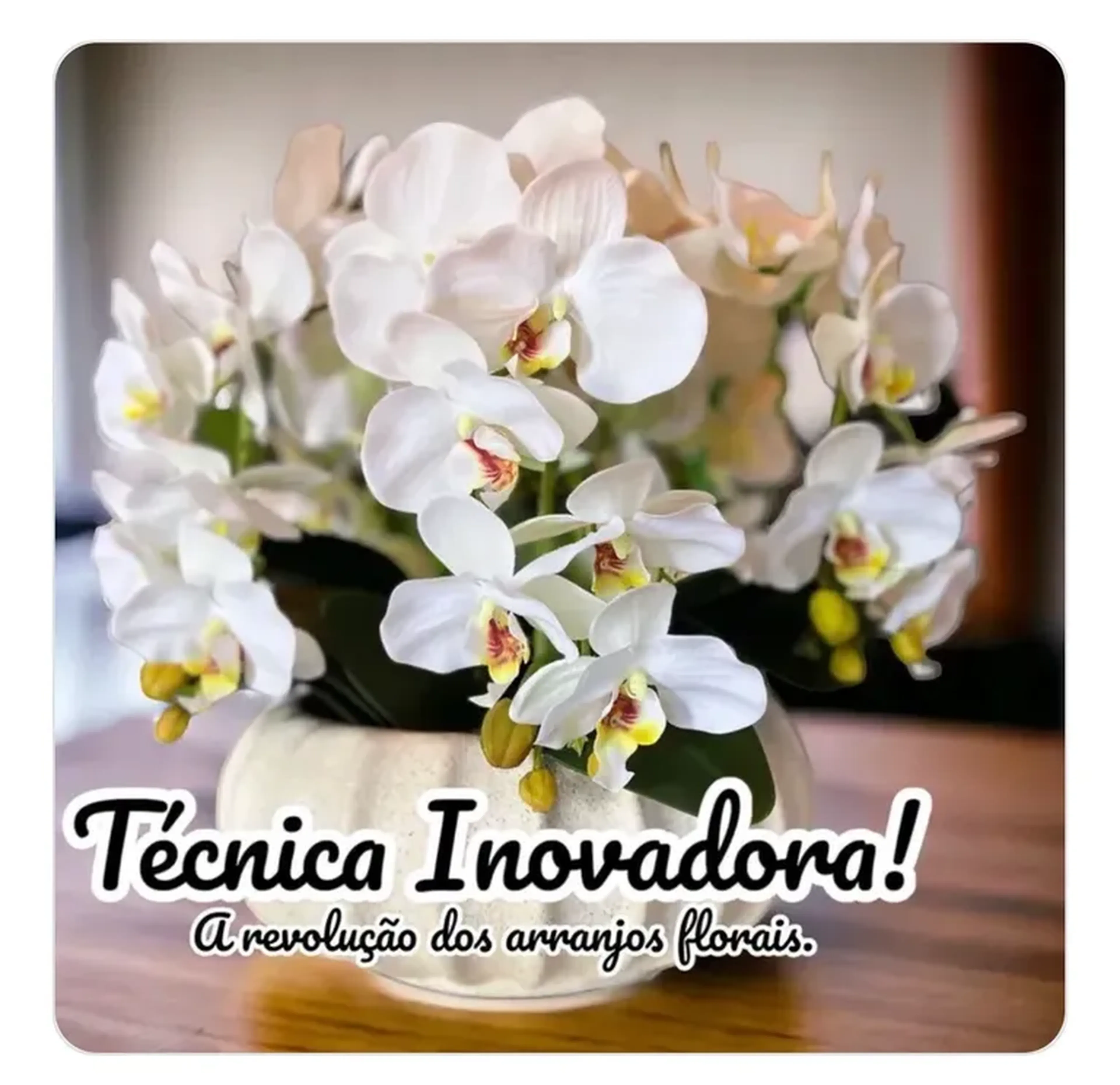 Vídeo Aula - Técnica Inovadora imagem