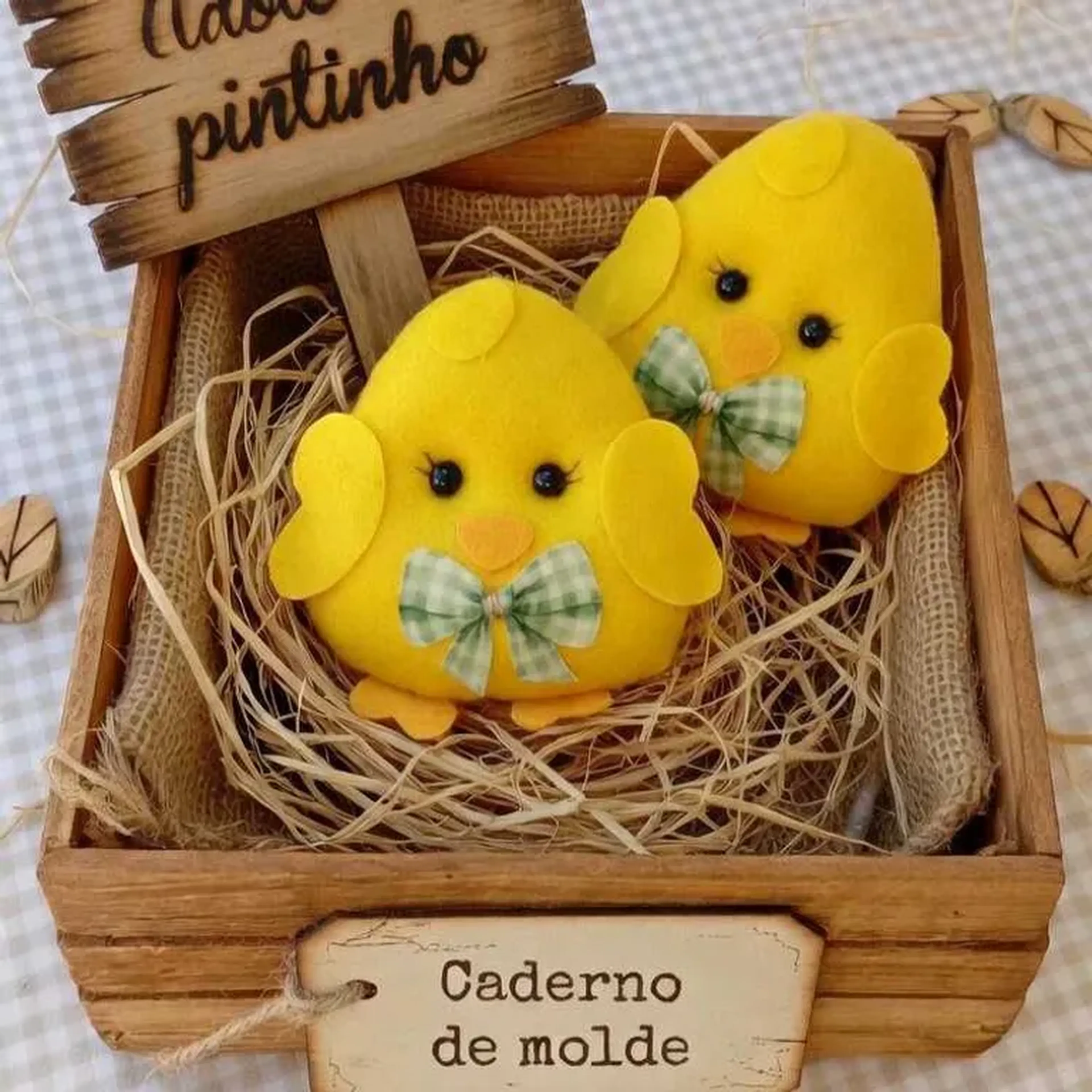 Caderno molde adote um pintinho 🐣 imagem