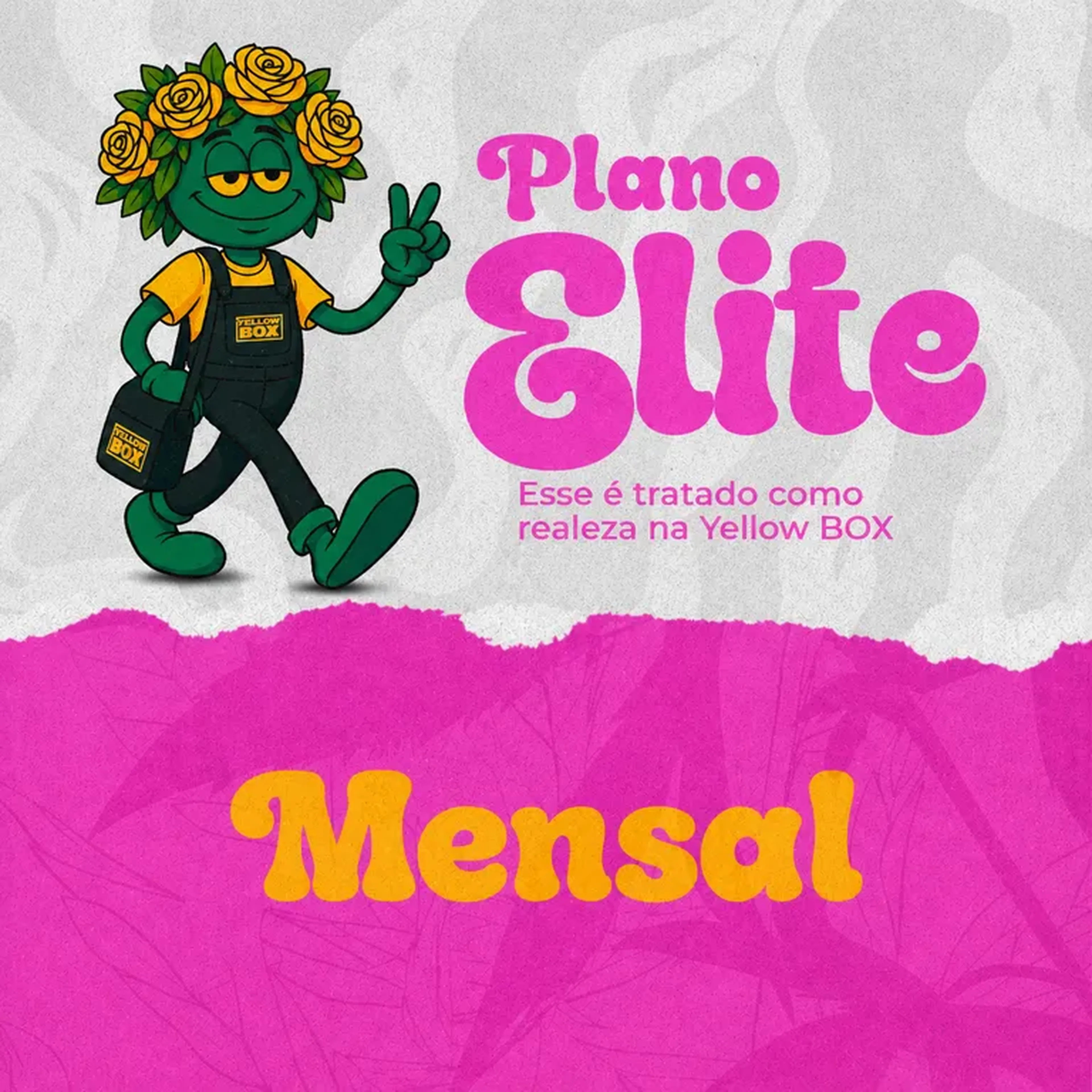 PLANO ELITE - MENSAL imagem