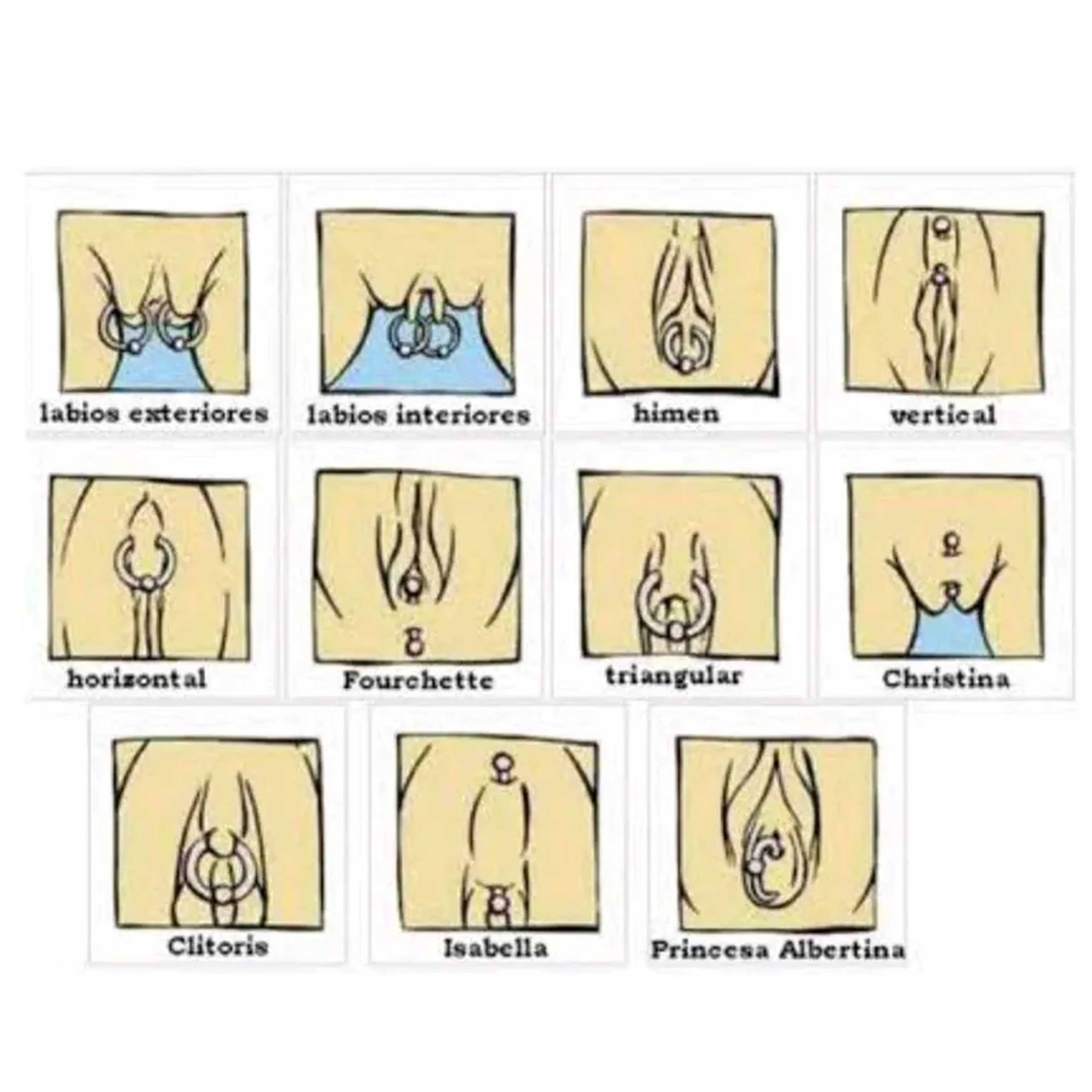 Piercing genital joia basica + aplicação imagem