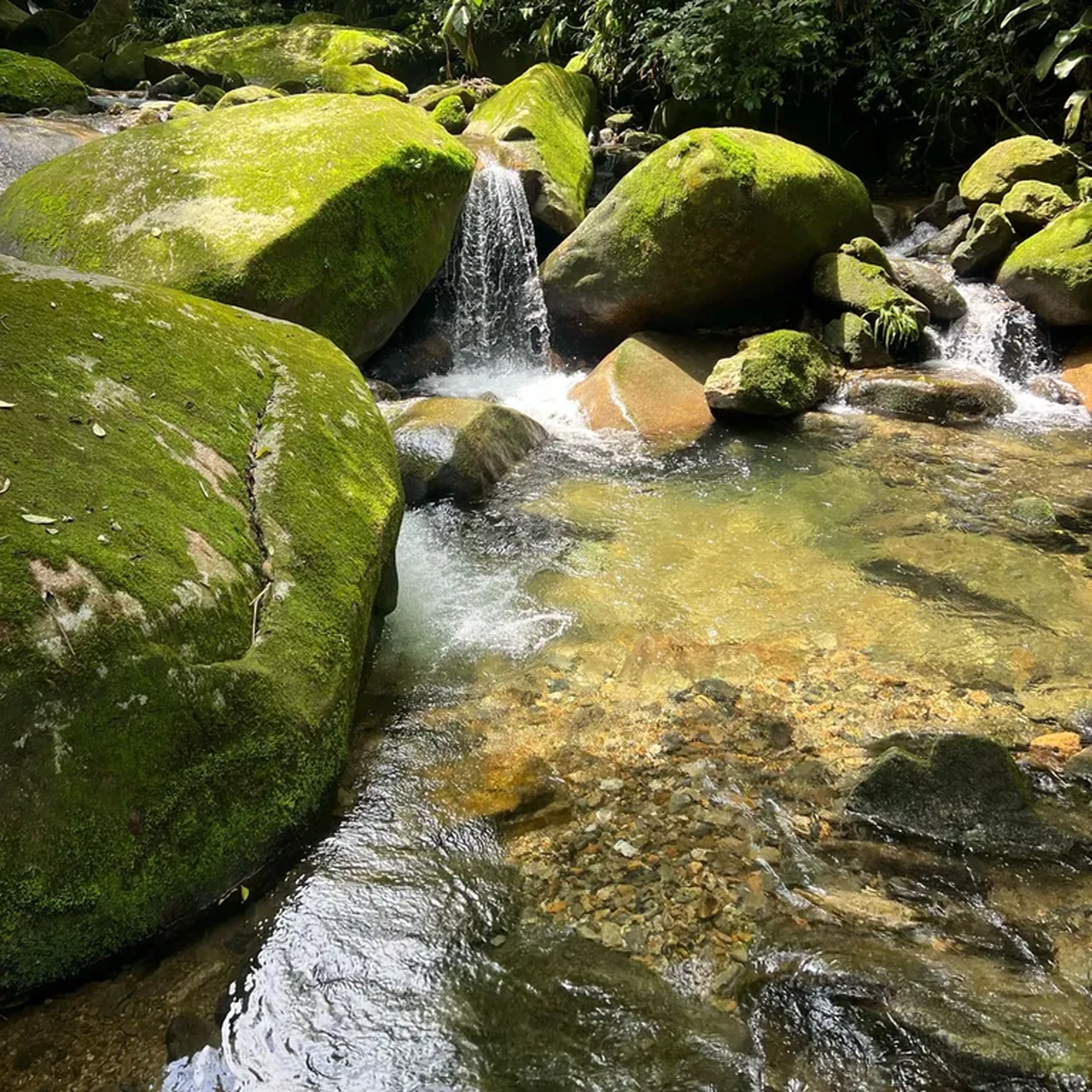 📆(17-10) - Trilha Do Poço Formoso em Paranapiacaba imagem