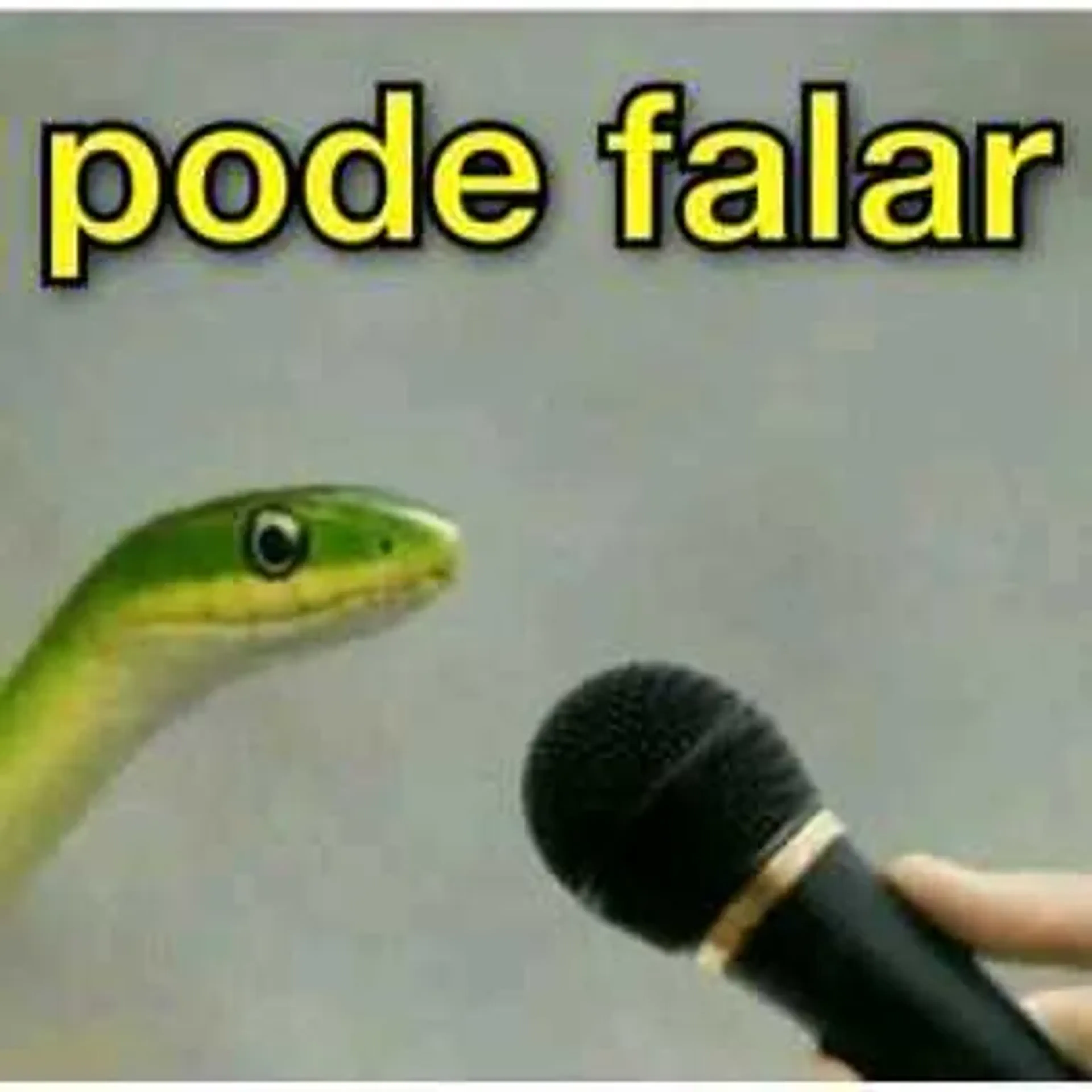Direito a dar palpite não solicitado imagem