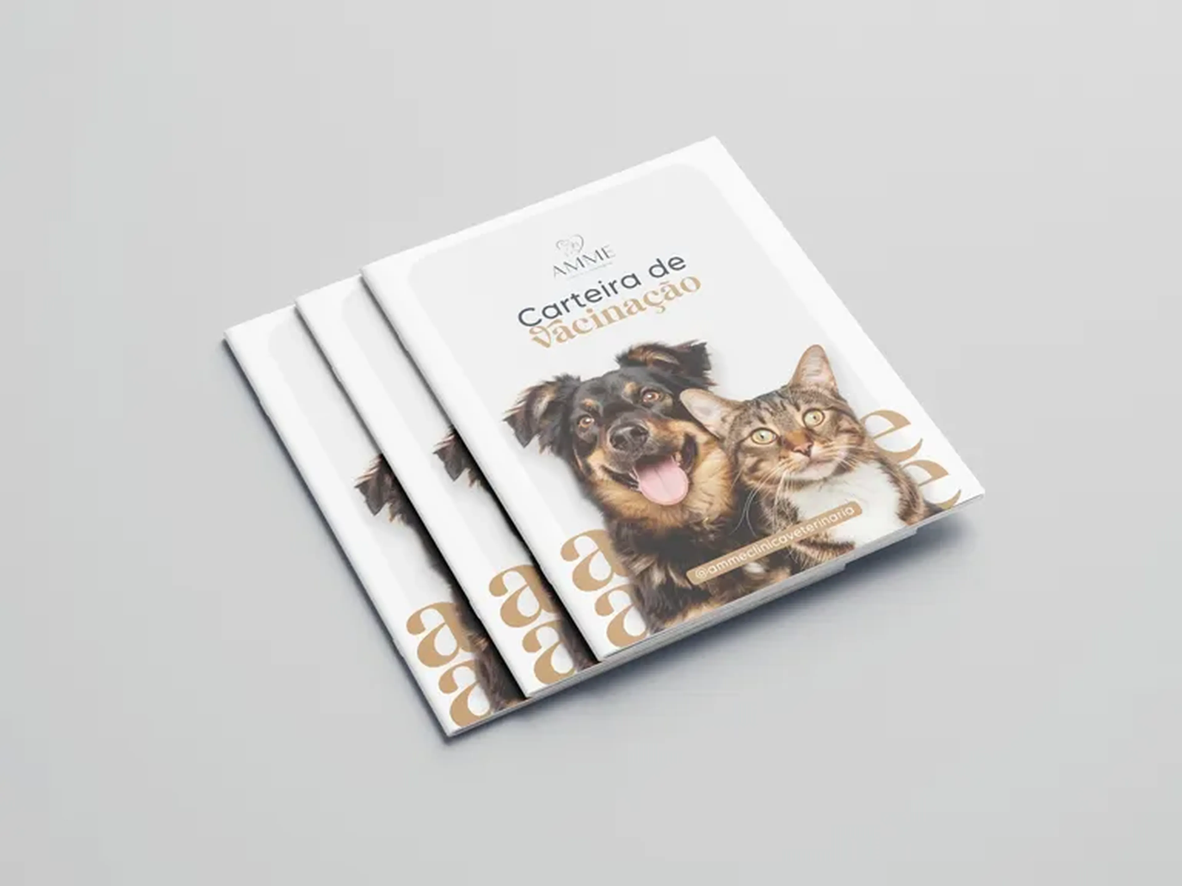 Carteira de Vacinação Livreto imagem