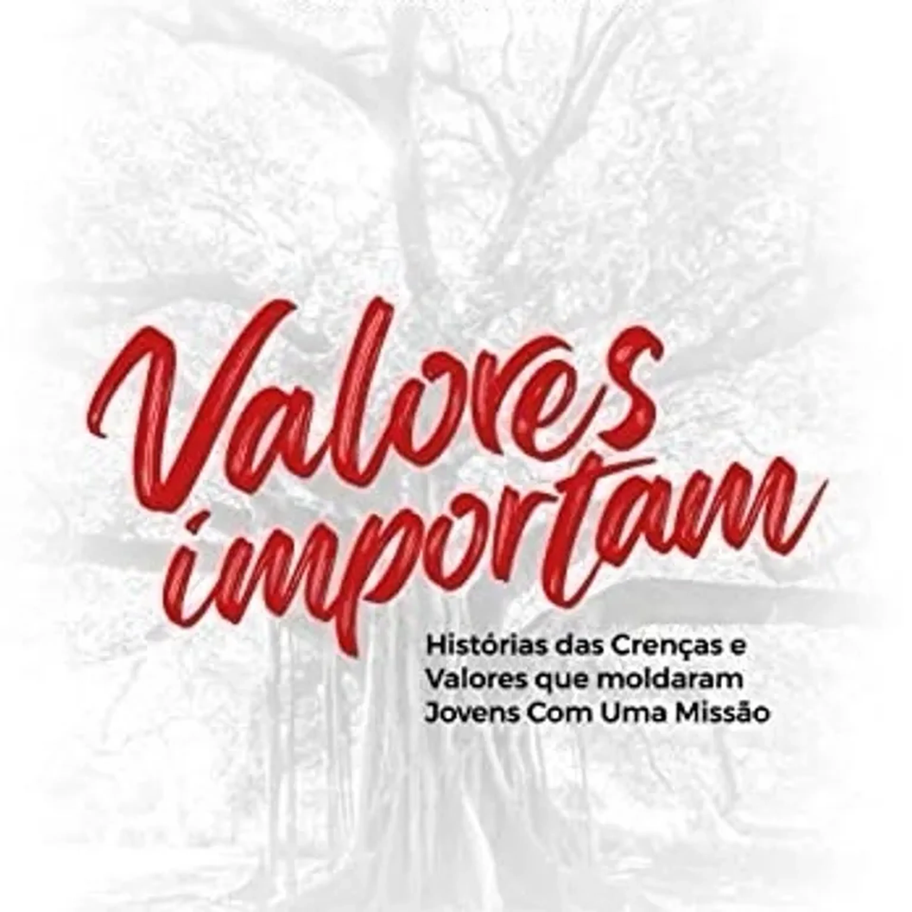 Valores Importam imagem