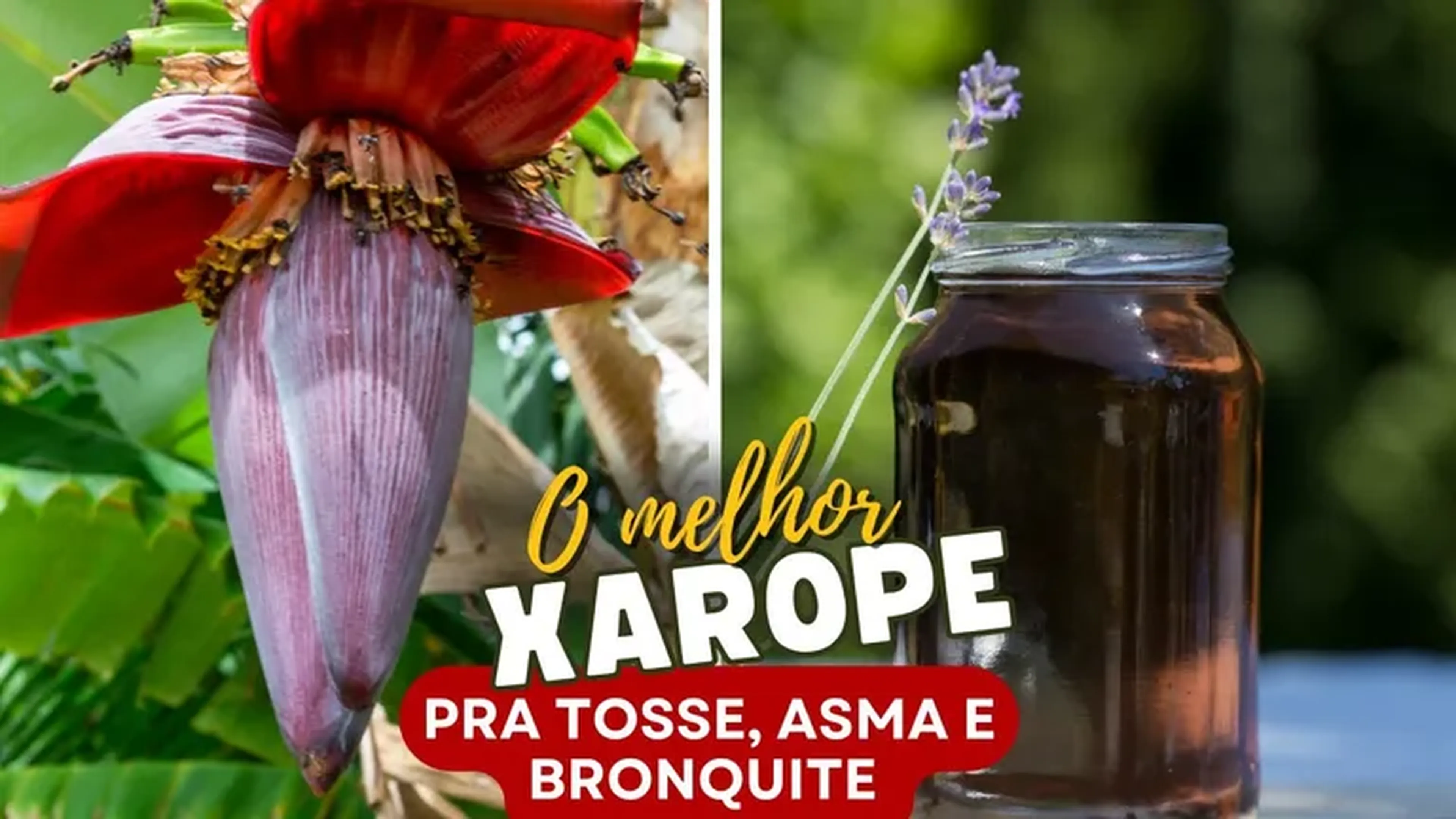 Xarope do Coração da Bananeira 800ml imagem