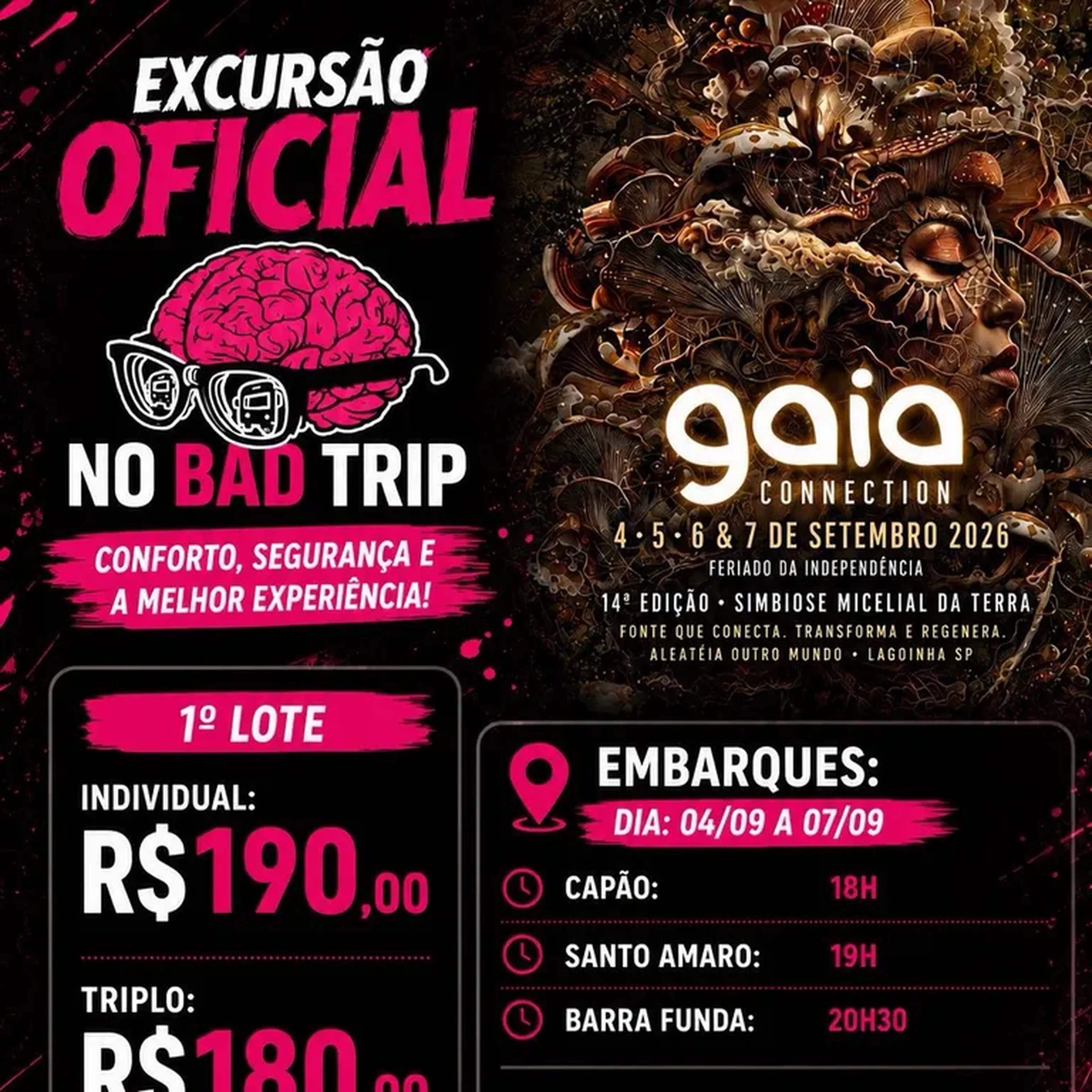 COMBO DUPLO EXCURSÃO GAIA imagem