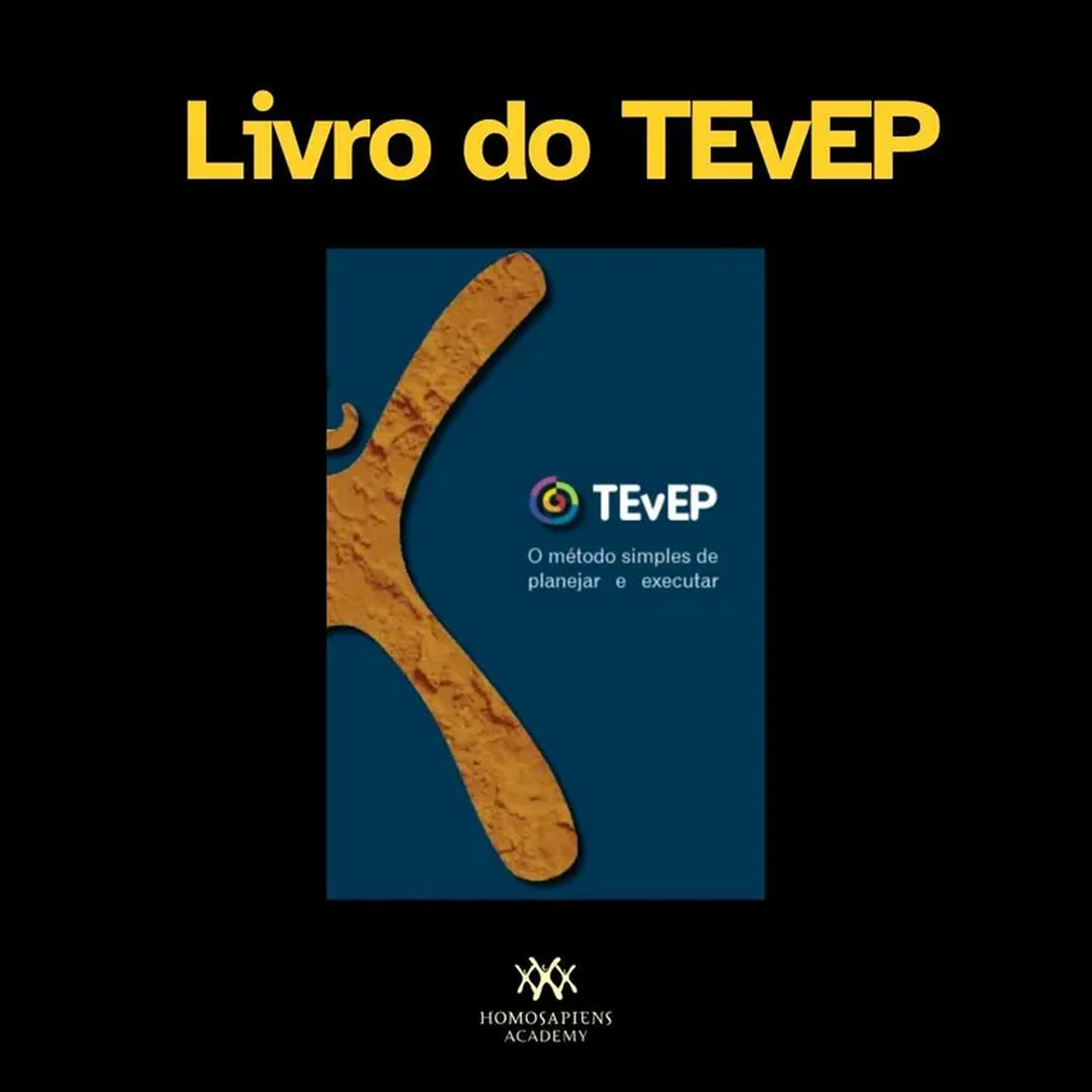 Livro TEvEP O Método Simples de Planejar e Executar imagem