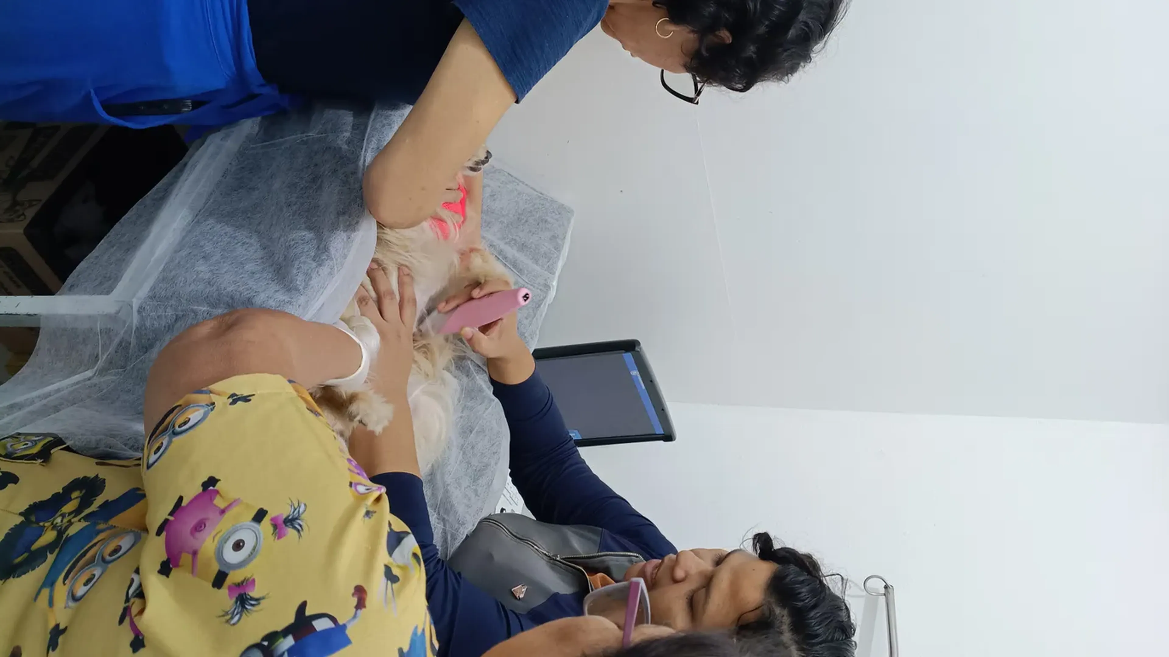 Ultrassom Abdominal imagem