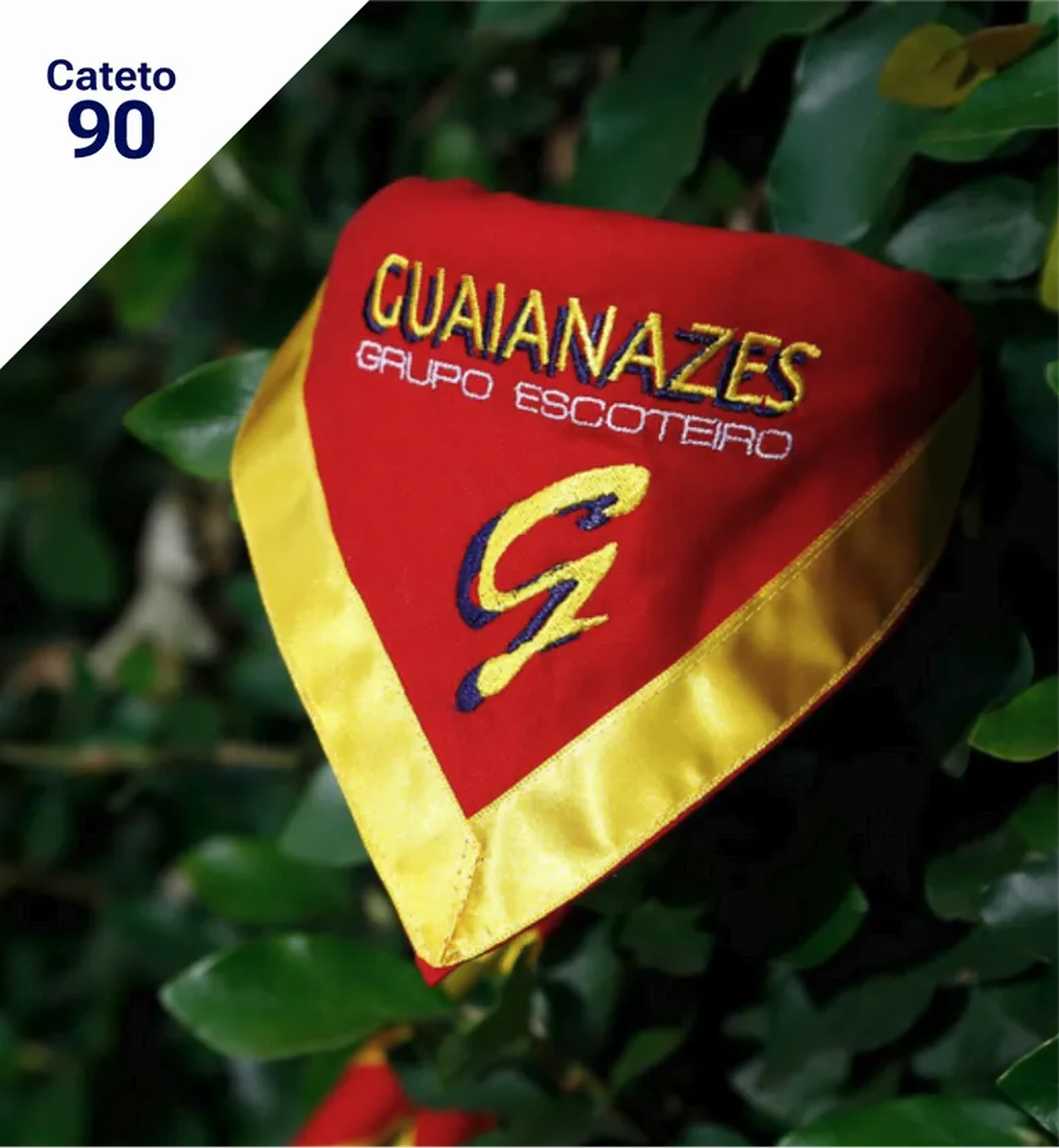 Lenço Extra Guaianazes - Cateto 90 imagem