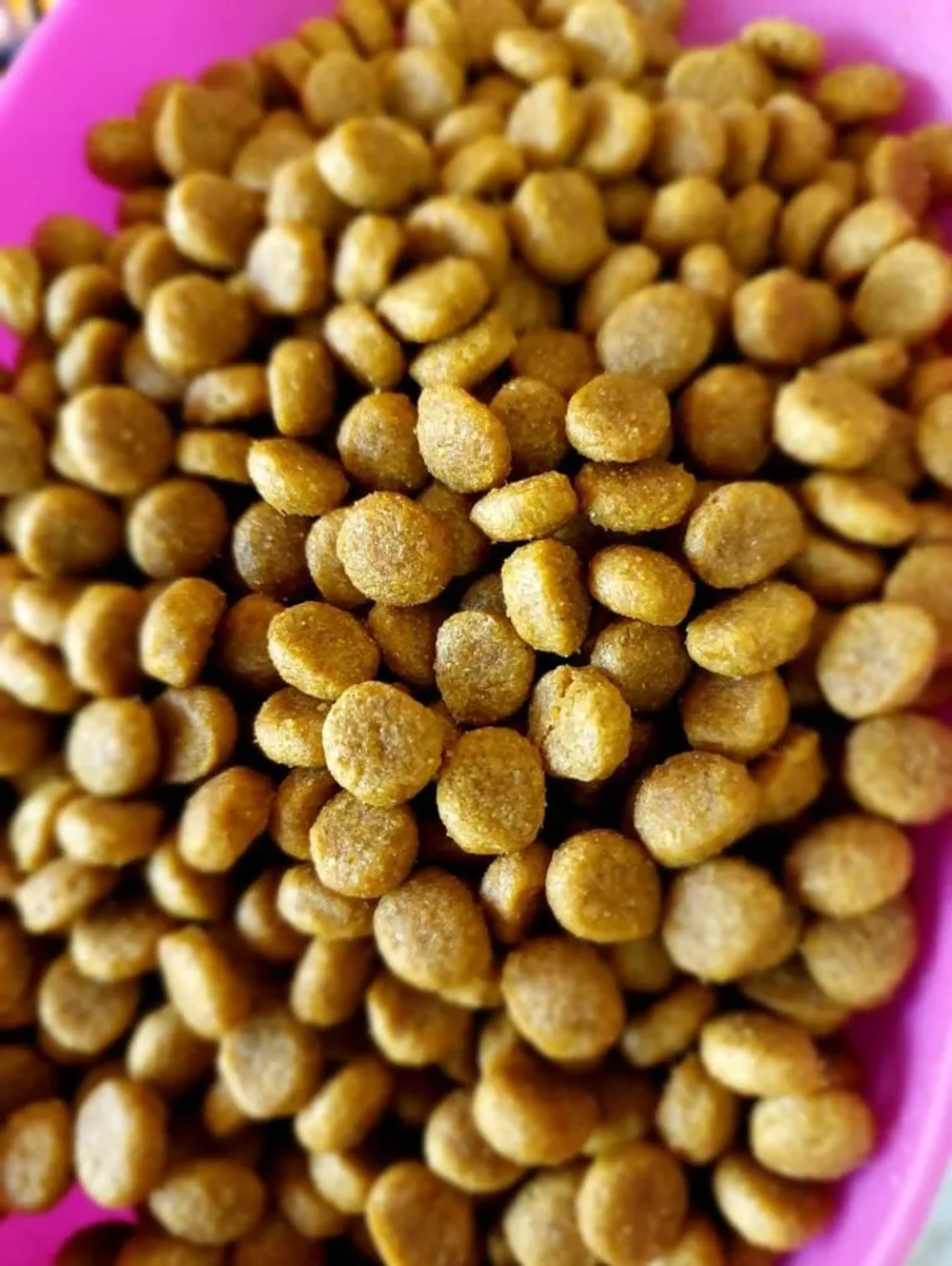 Granel Special Dog Junior Carne kg imagem