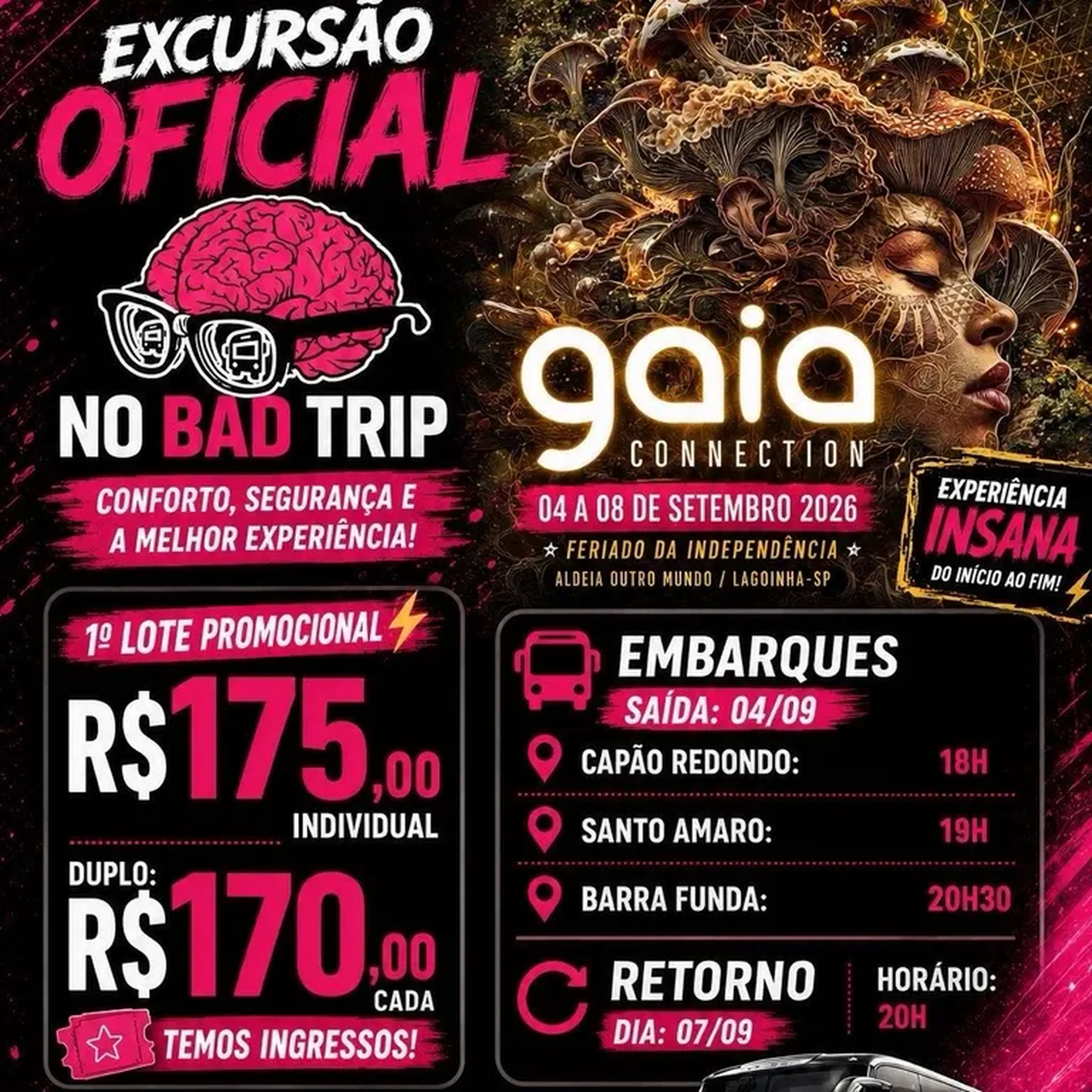 EXCURSÃO GAIA 1º LOTE imagem