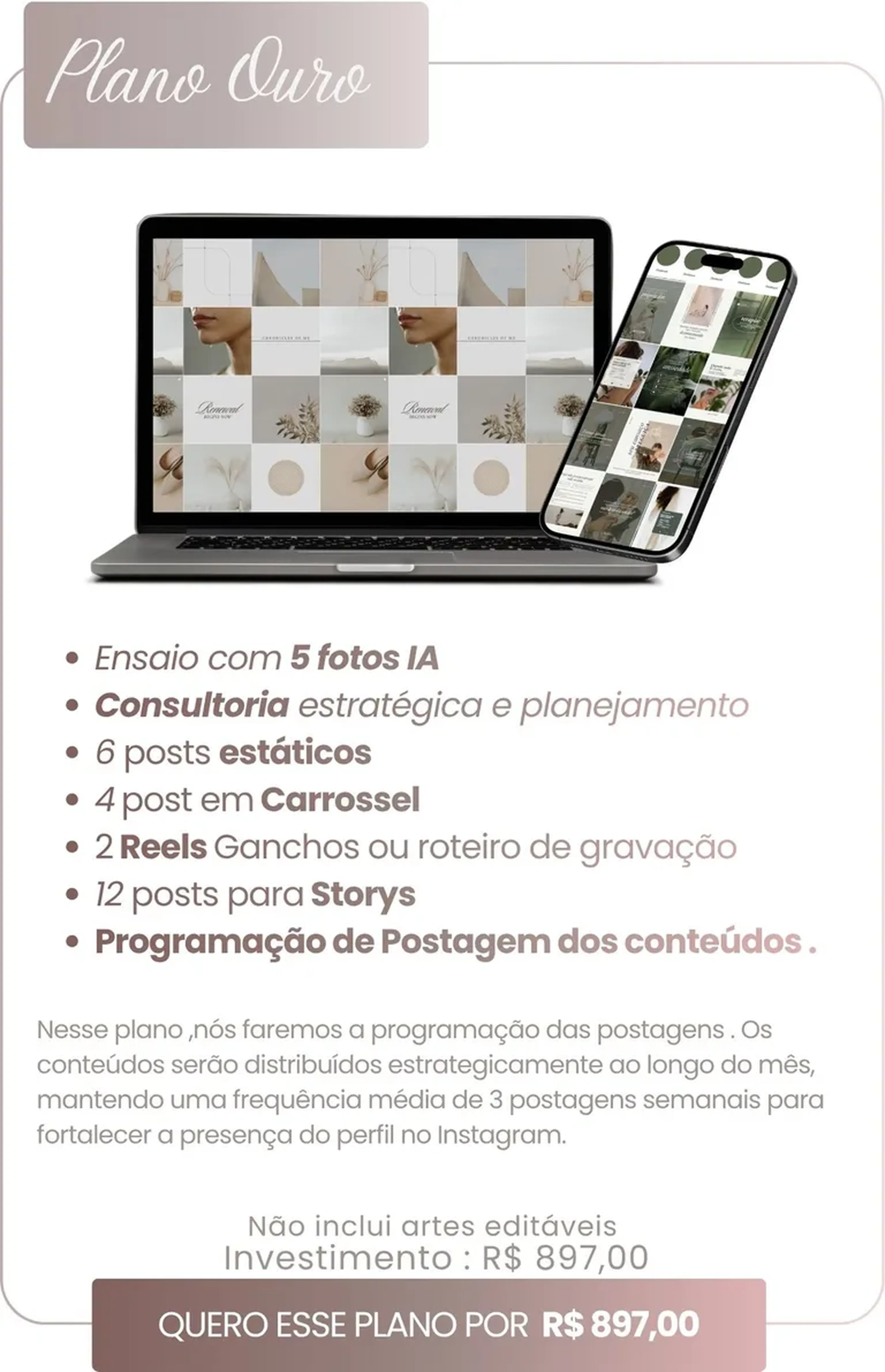 Posts + Postagens - Plano Ouro imagem