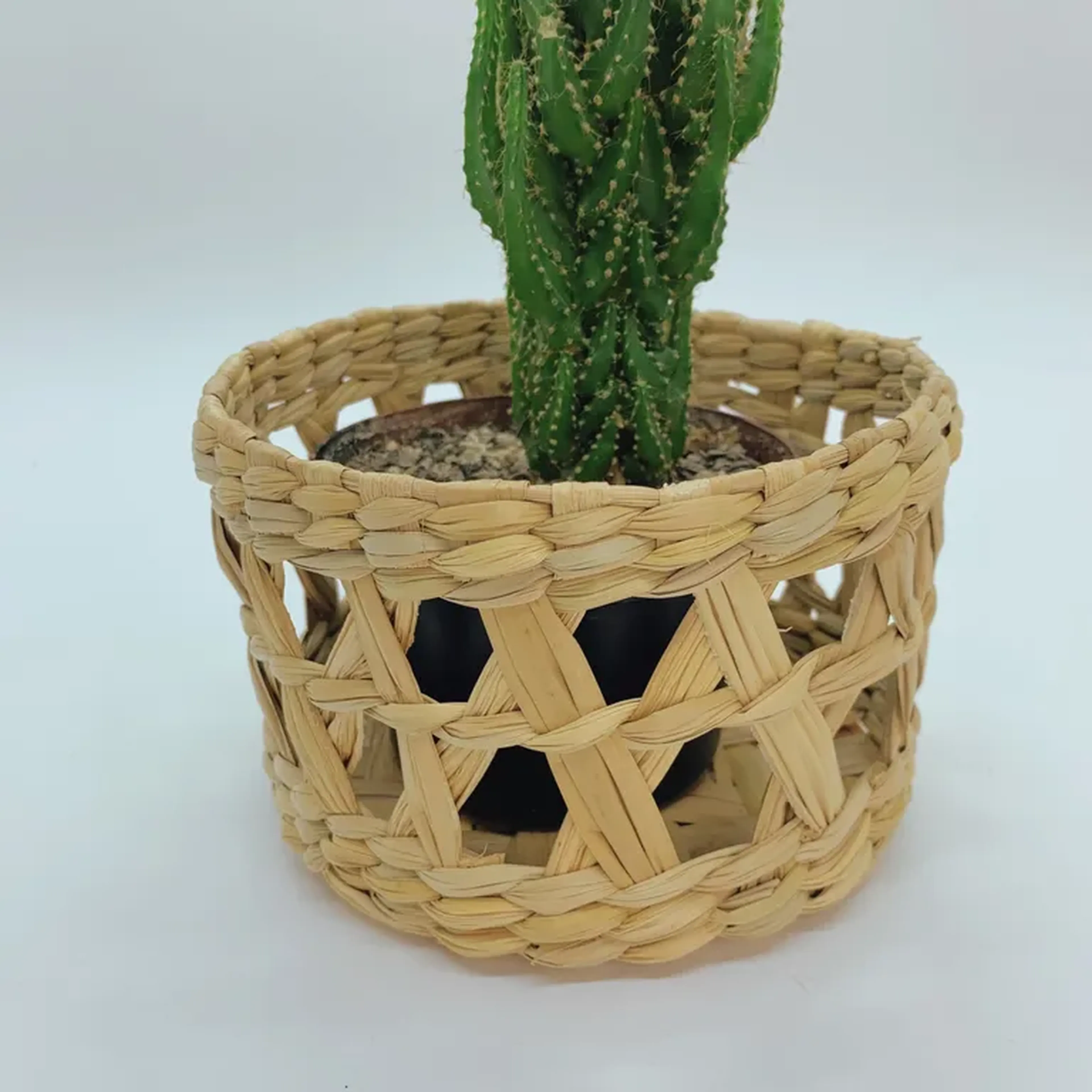 Cachepô De Taboa imagem