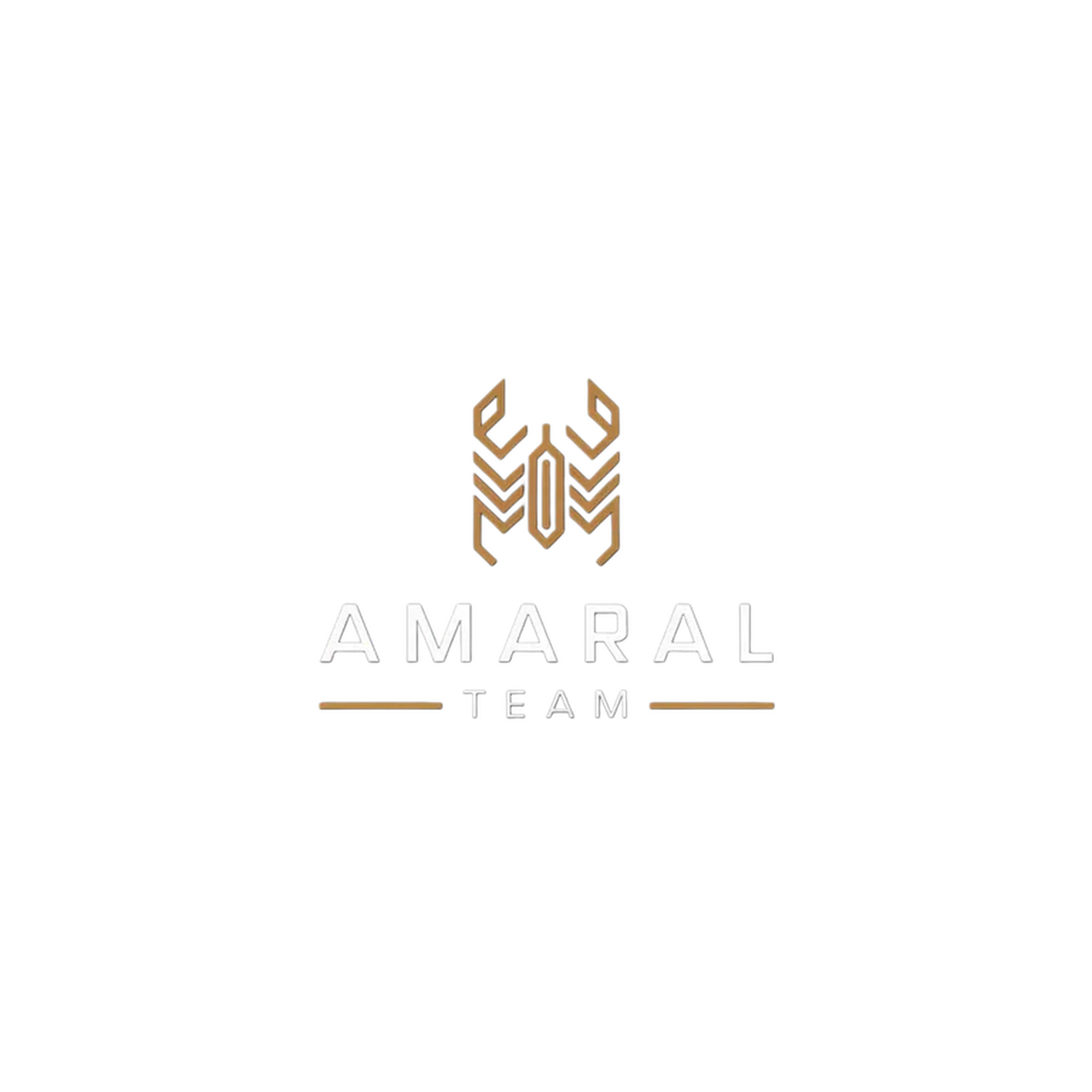 CONSULTORIA AMARAL TEAM imagem