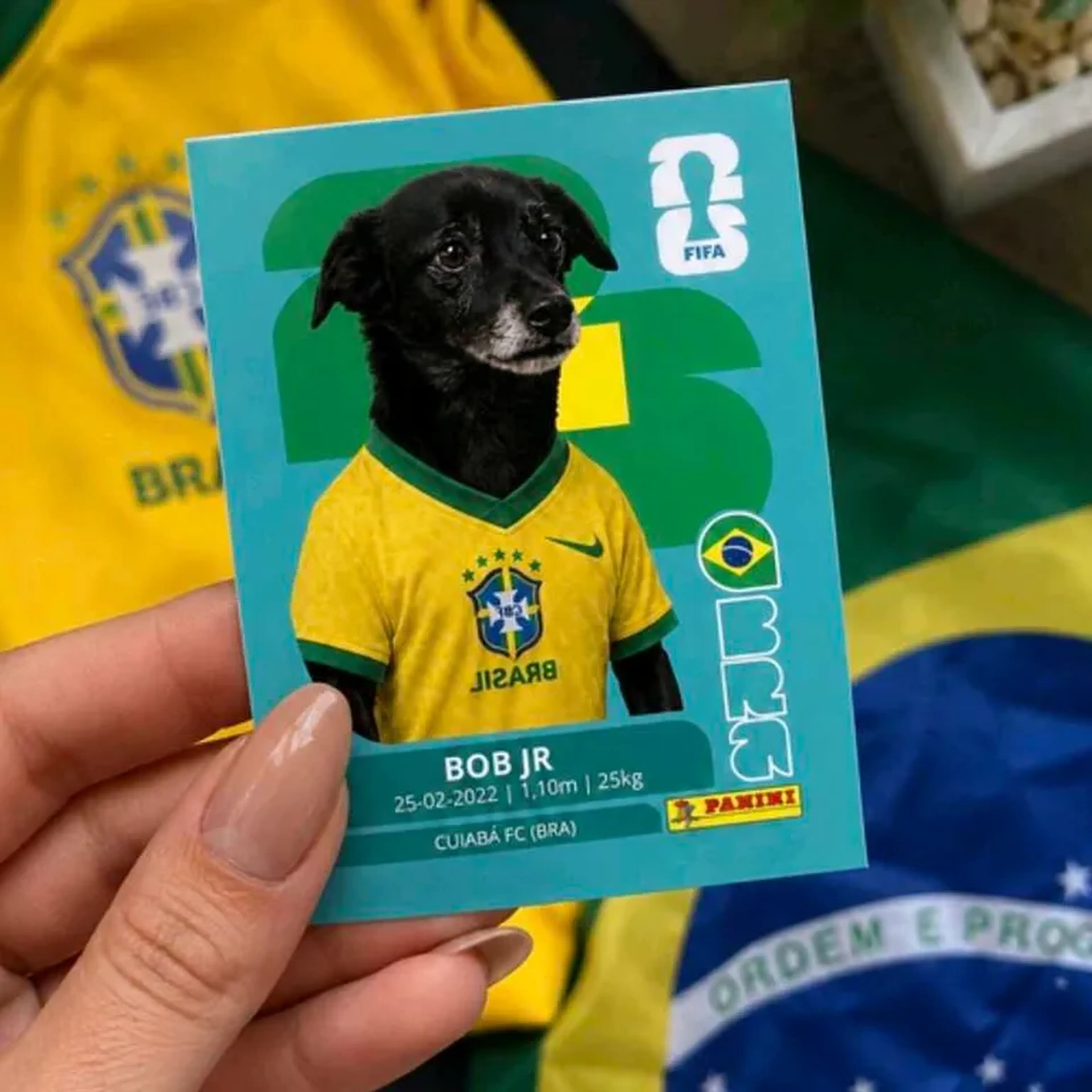 ímã adesivo copa 2026 imagem