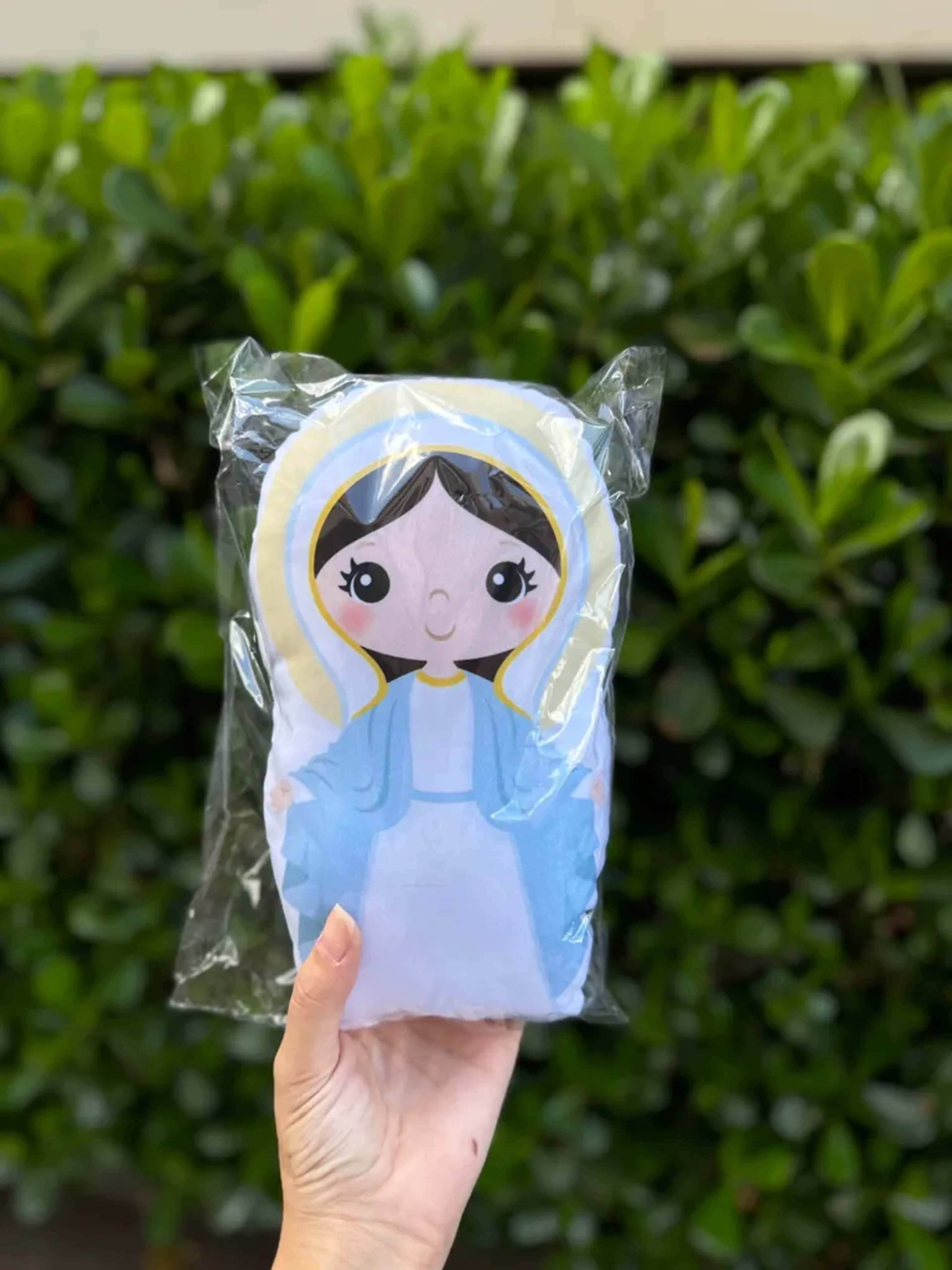 Naninha Nossa Senhora das Graças imagem
