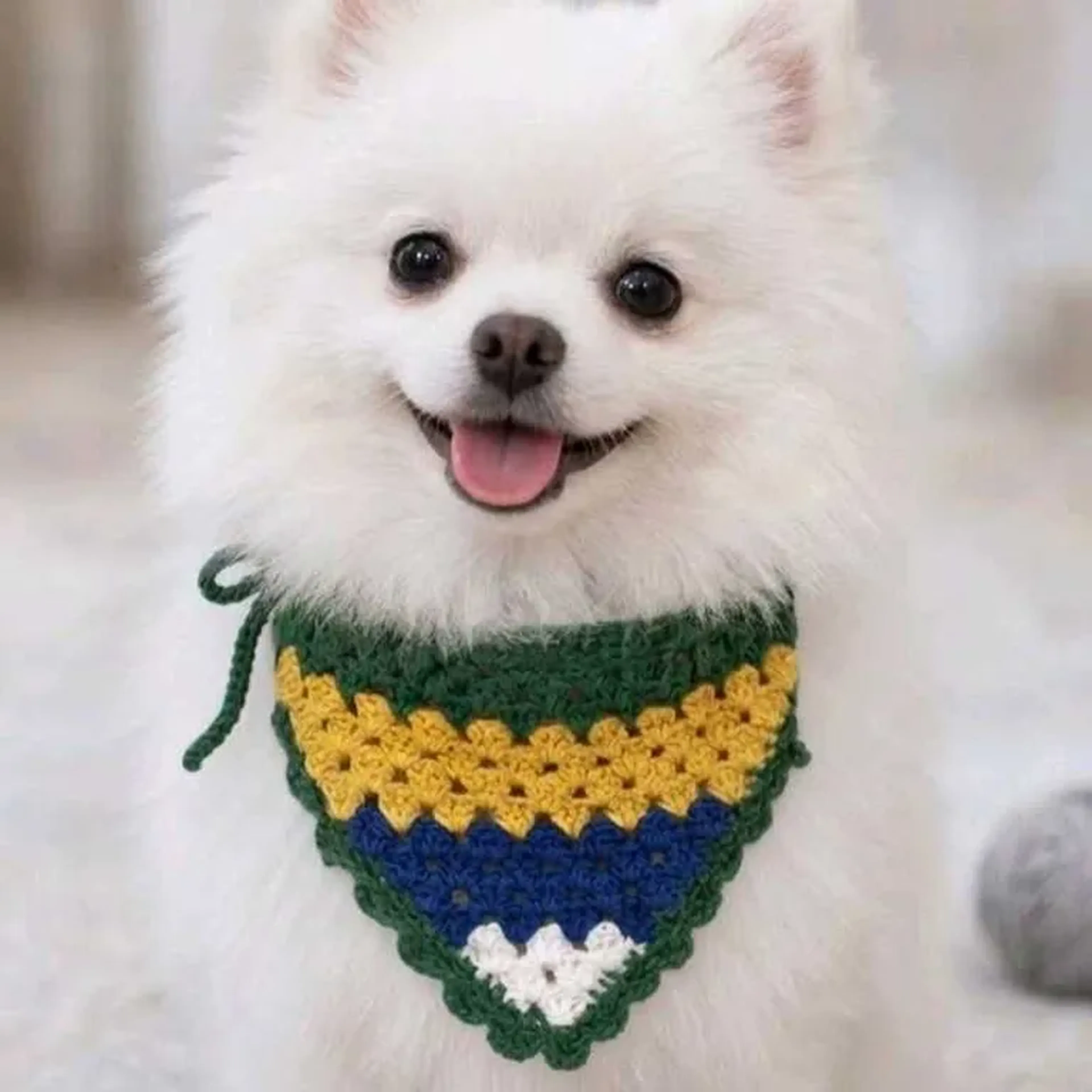 Bandana Pet imagem